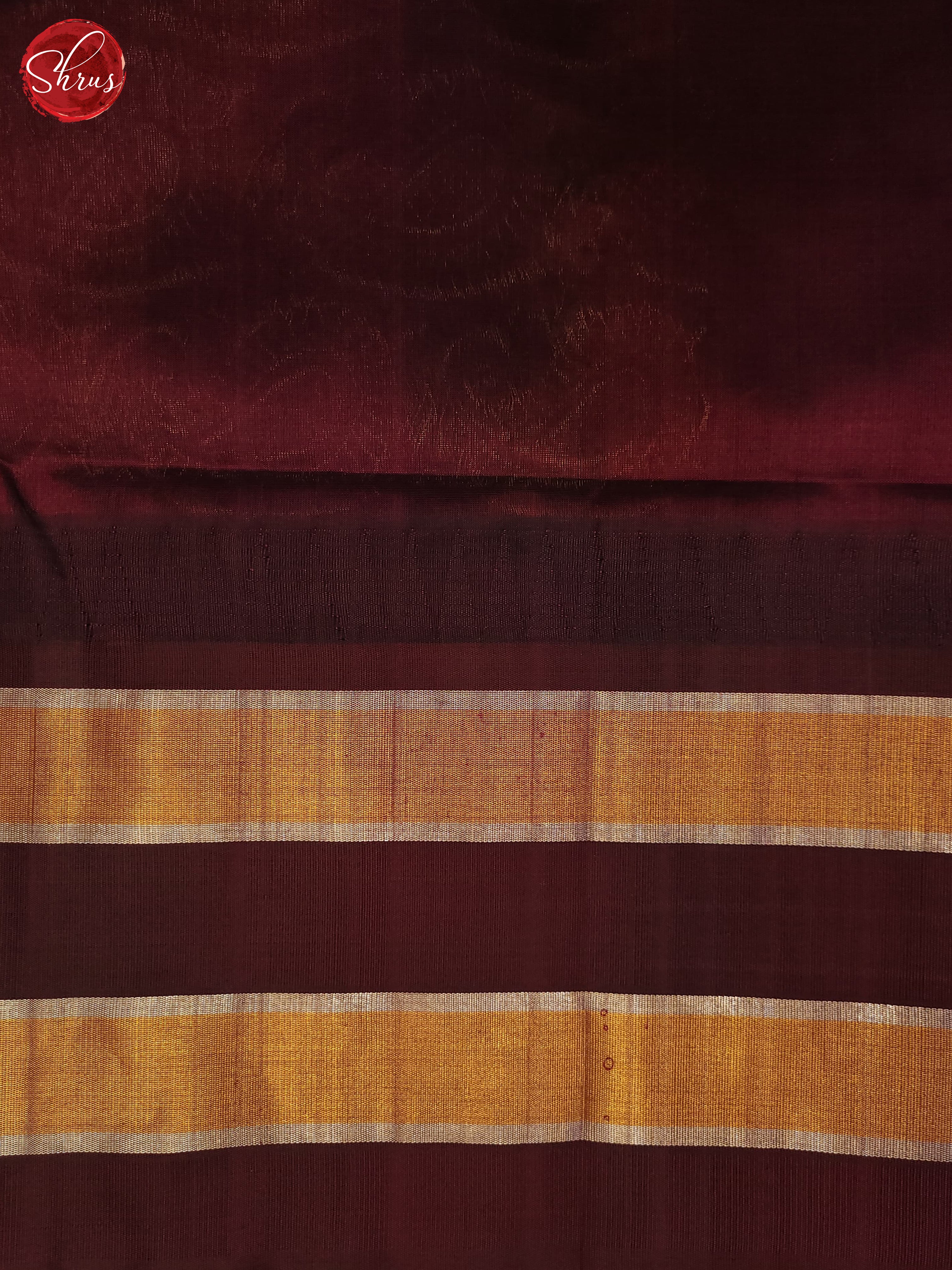 Cream & Brown - Silk Cotton Saree - Shop on ShrusEternity.com