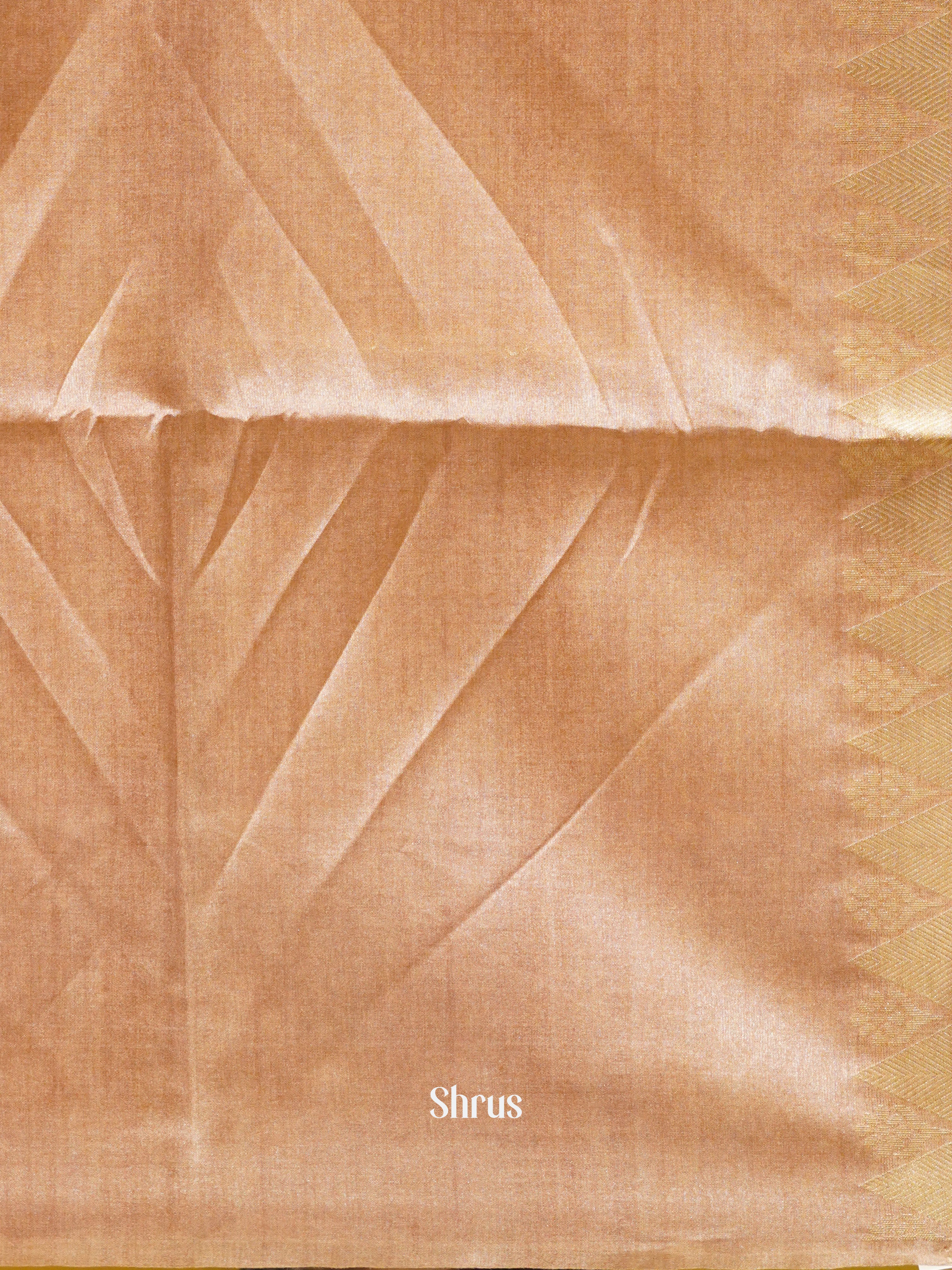 Elachi green and brown - Semi Tussar Saree - Shop on ShrusEternity.com