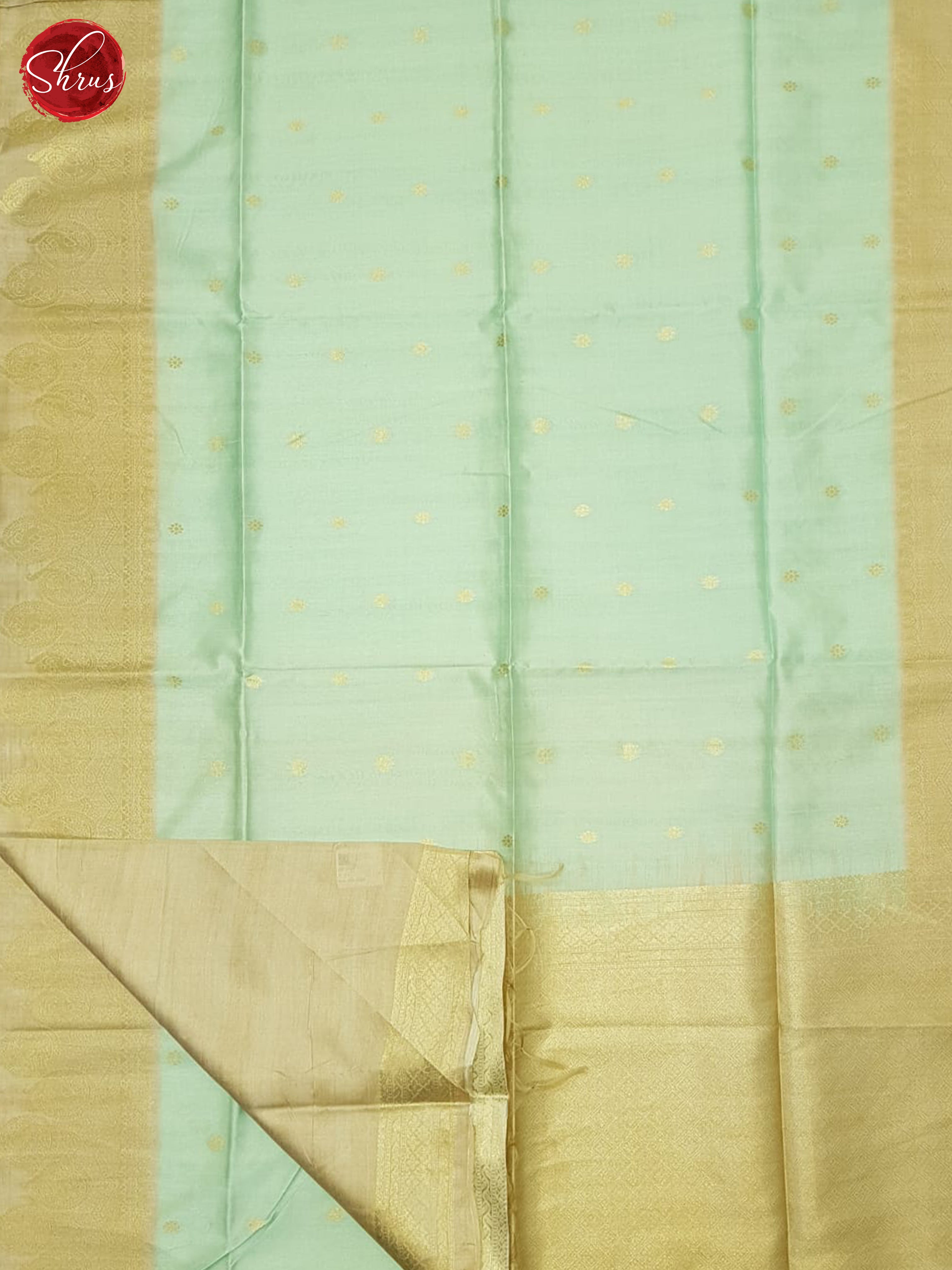 Aqua Green & Beige- Semi Silkcotton Saree - Shop on ShrusEternity.com