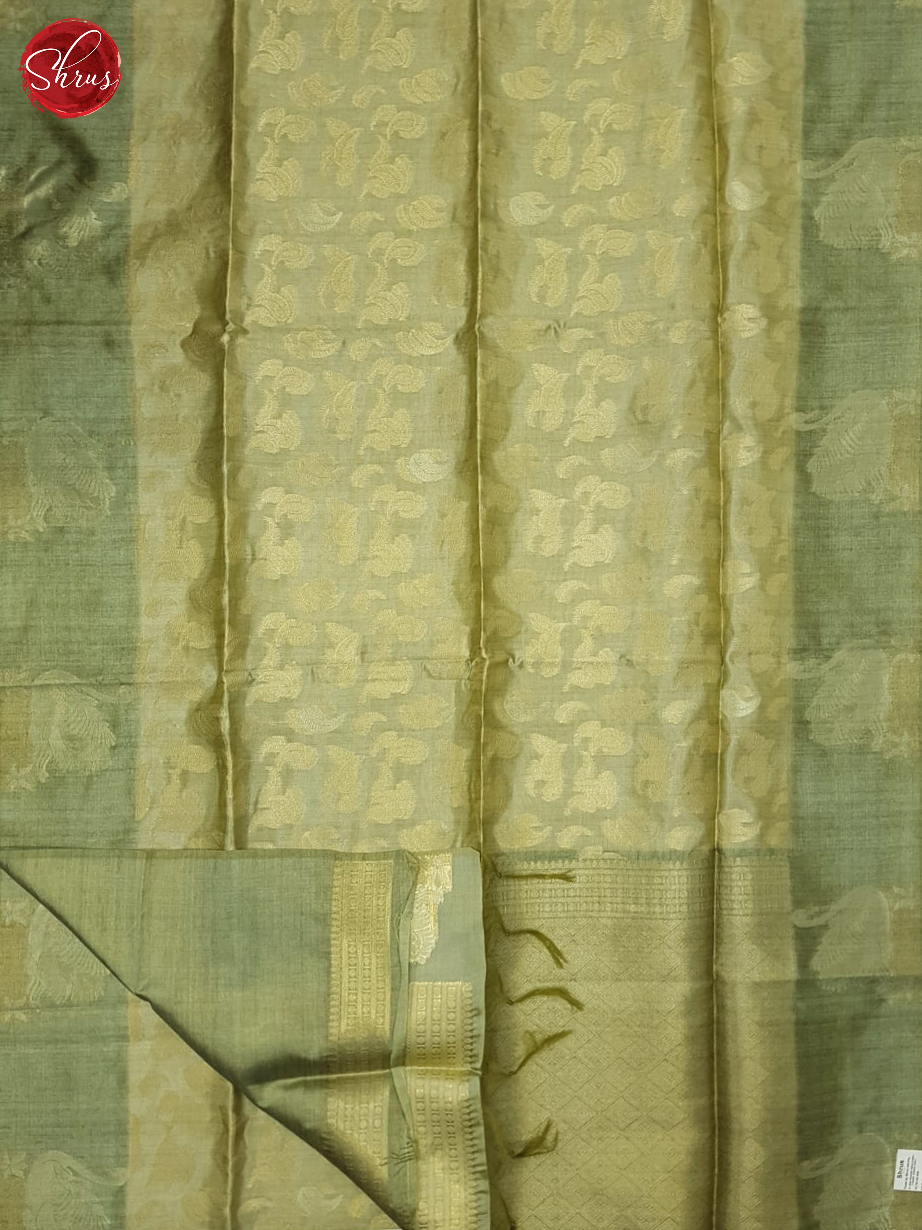 Greenish Grey & Green- Semi Silkcotton Saree - Shop on ShrusEternity.com