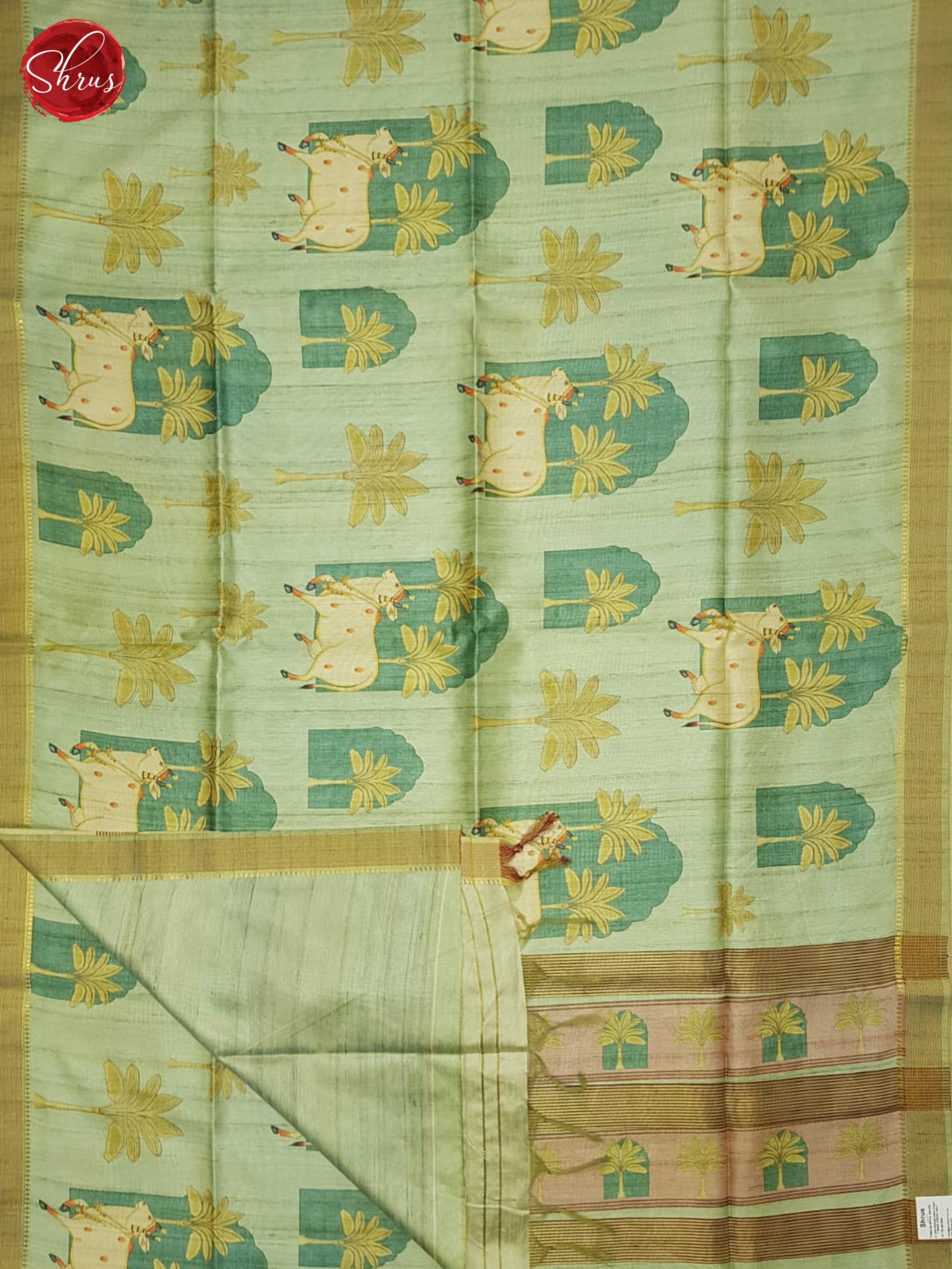 Green & Brown - Semi Silkcotton Saree - Shop on ShrusEternity.com