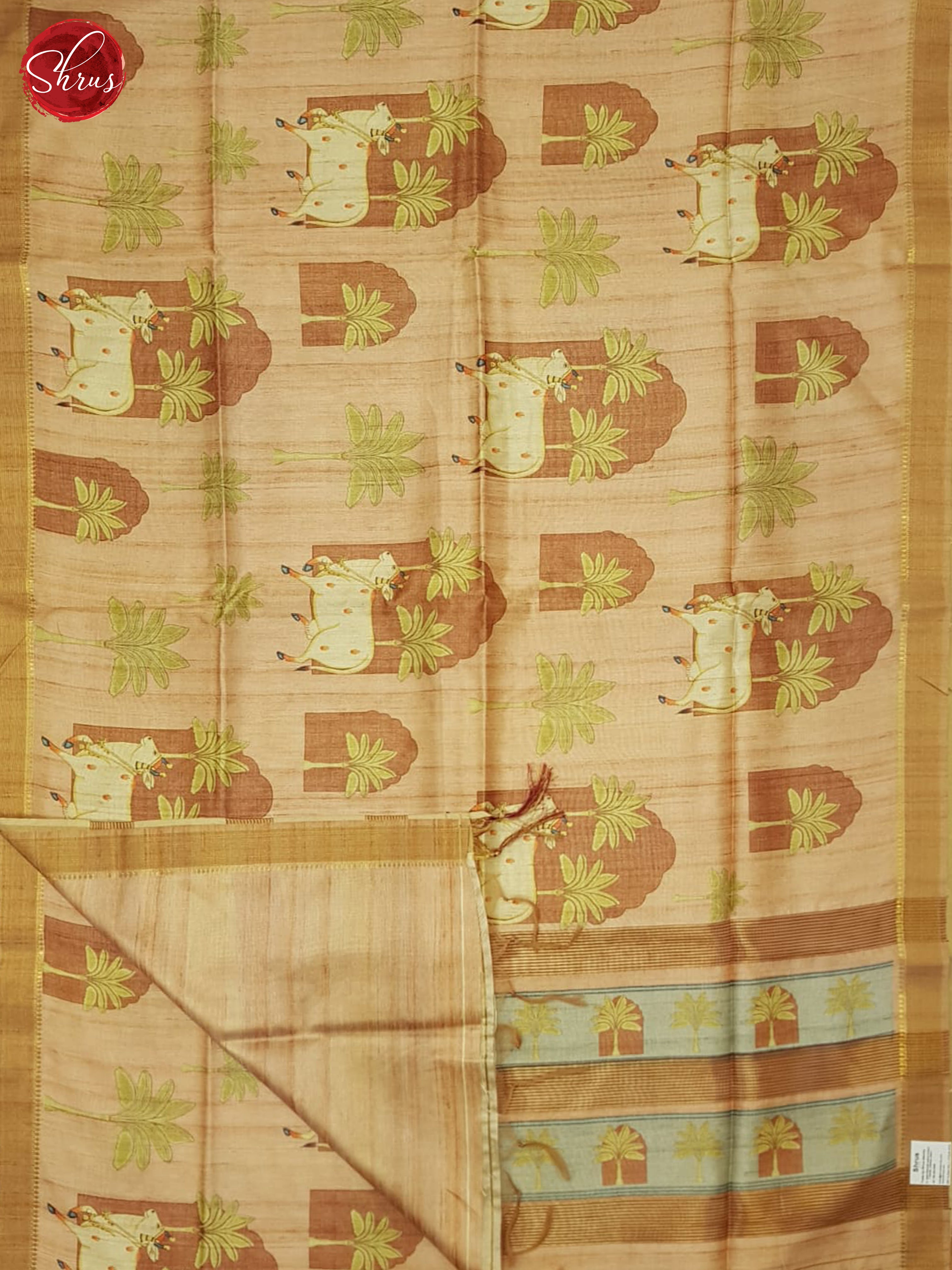 Brown & Blue - Semi Silkcotton Saree - Shop on ShrusEternity.com