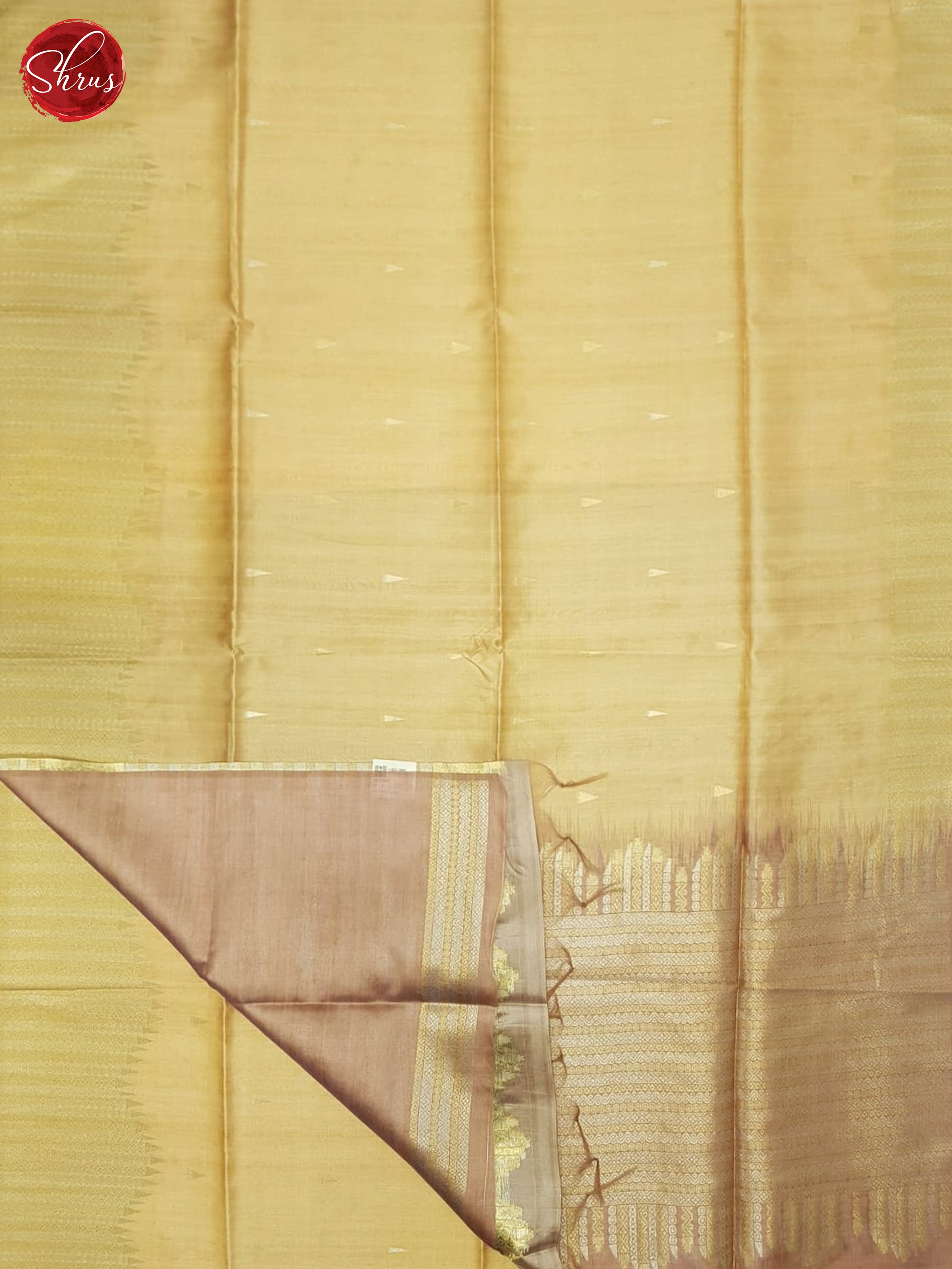 Beige & Brown- Semi Silkcotton Saree - Shop on ShrusEternity.com