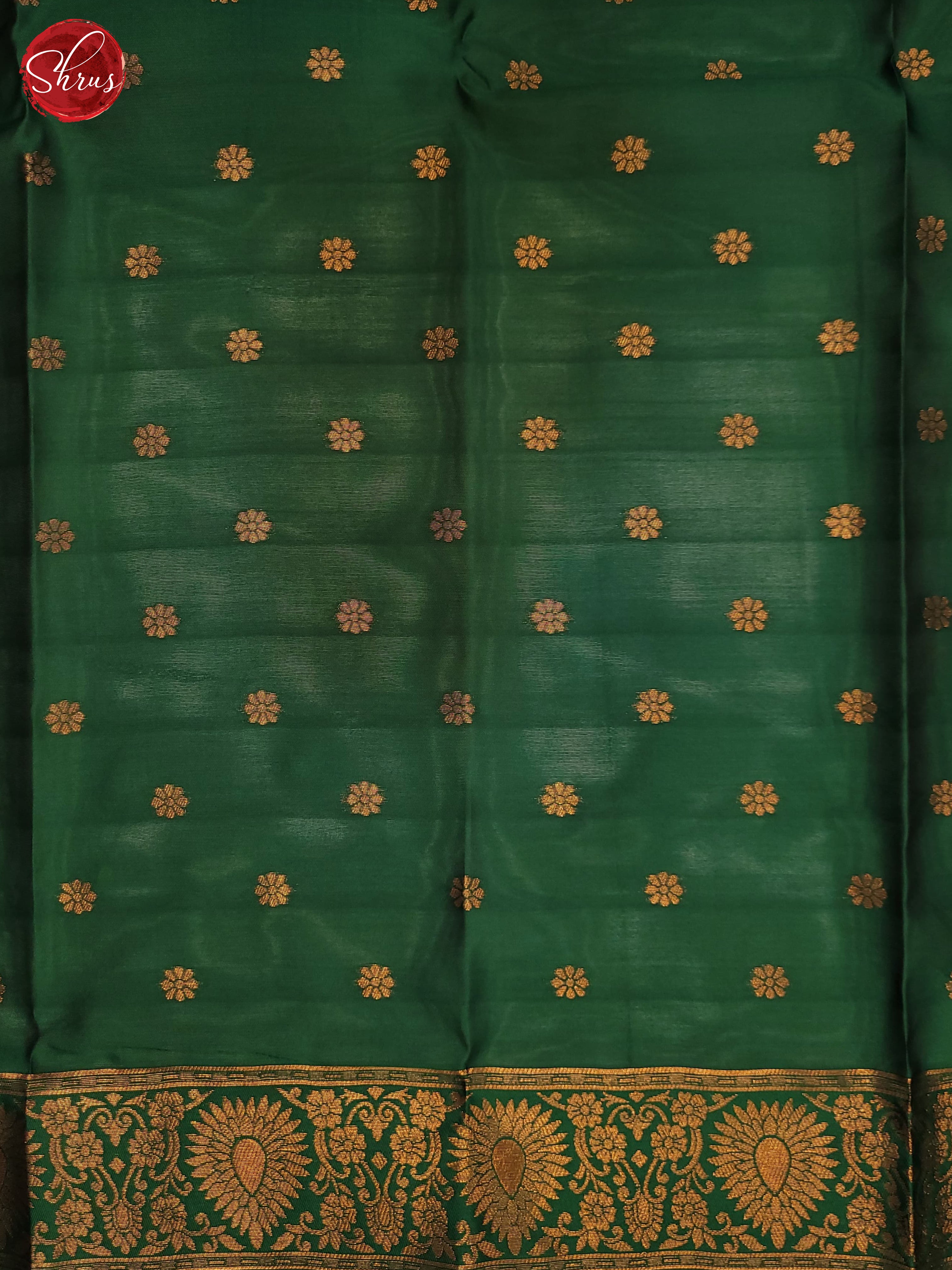 Pista Green & Green - Semi Softsilk Saree - Shop on ShrusEternity.com