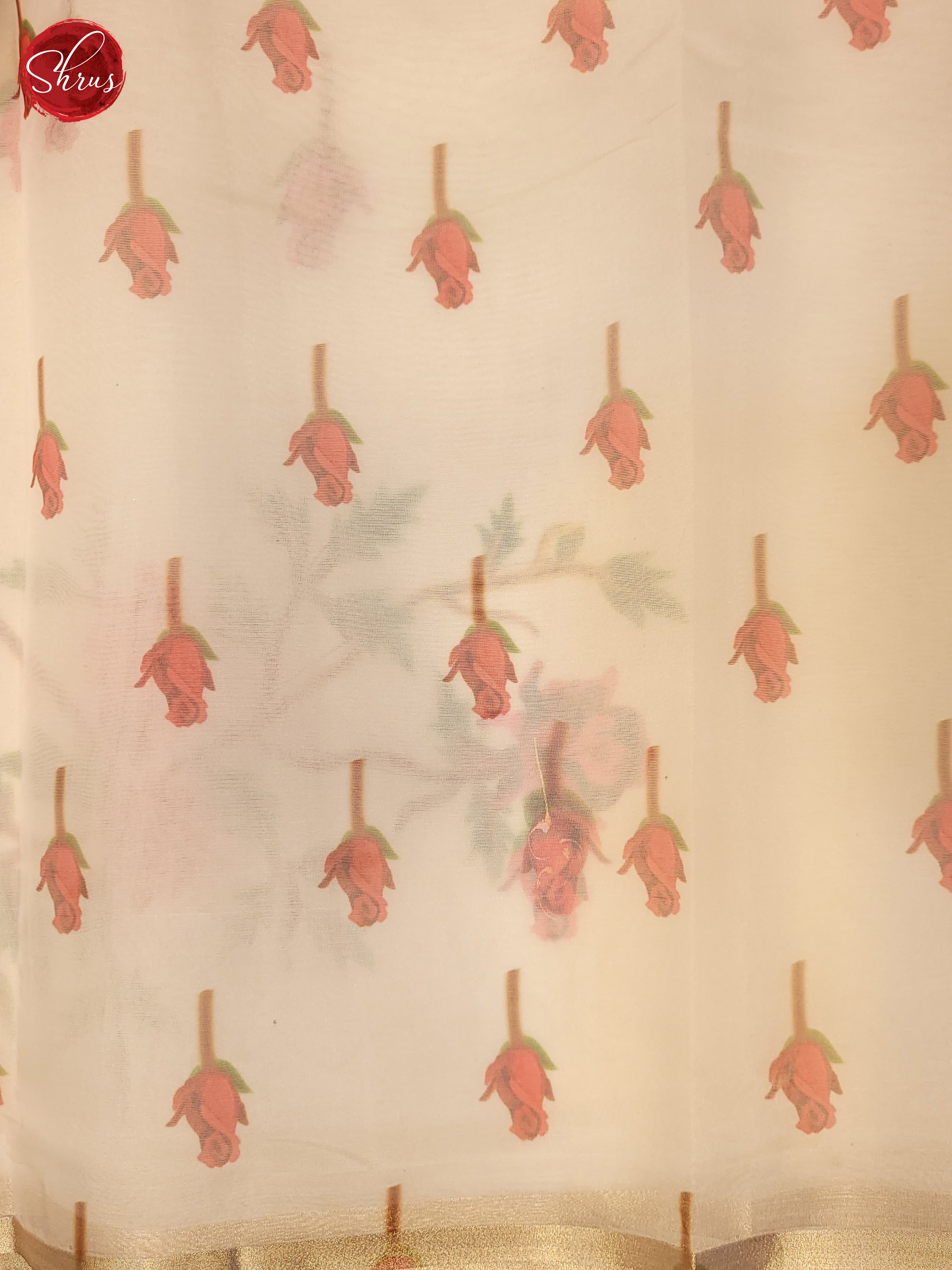 Cream(Single Tone) - Semi Organza Saree - Shop on ShrusEternity.com