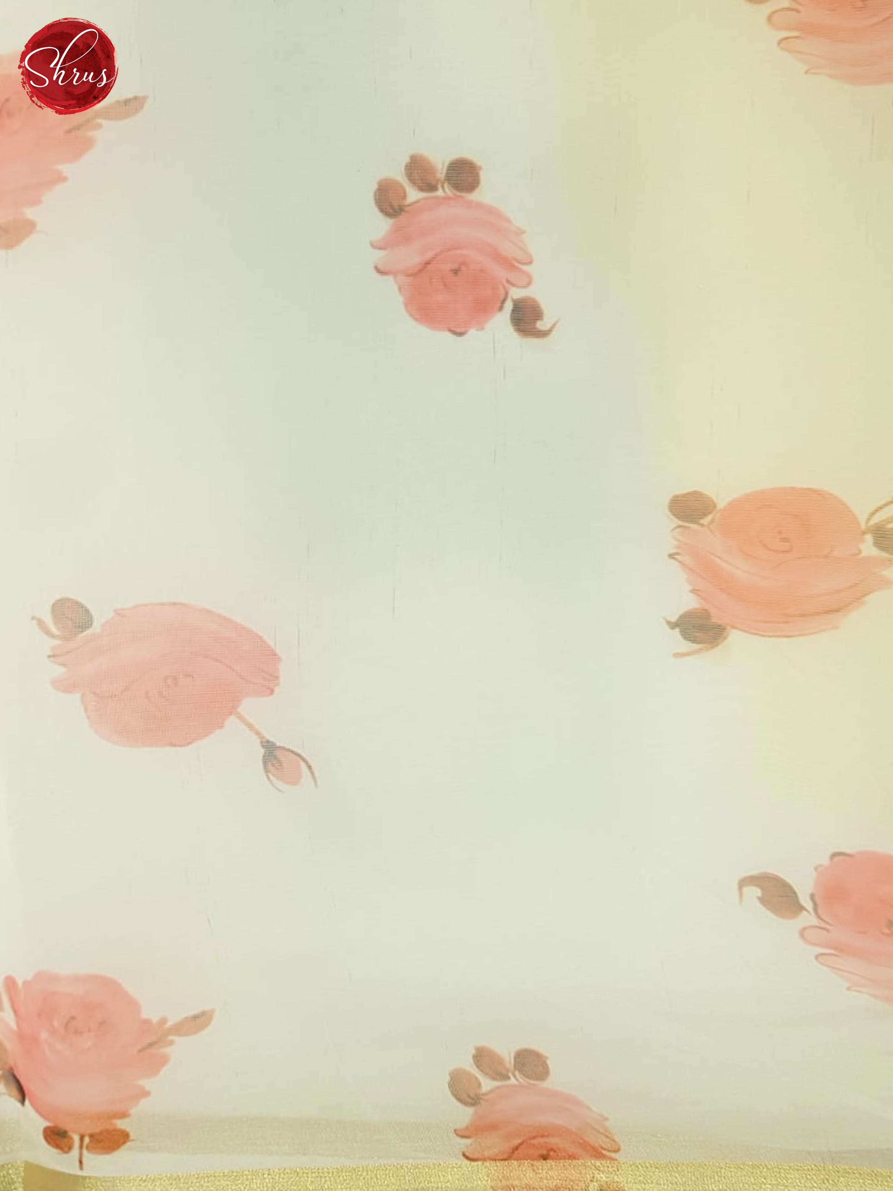 Cream(Single Tone) - Semi Organza Saree - Shop on ShrusEternity.com