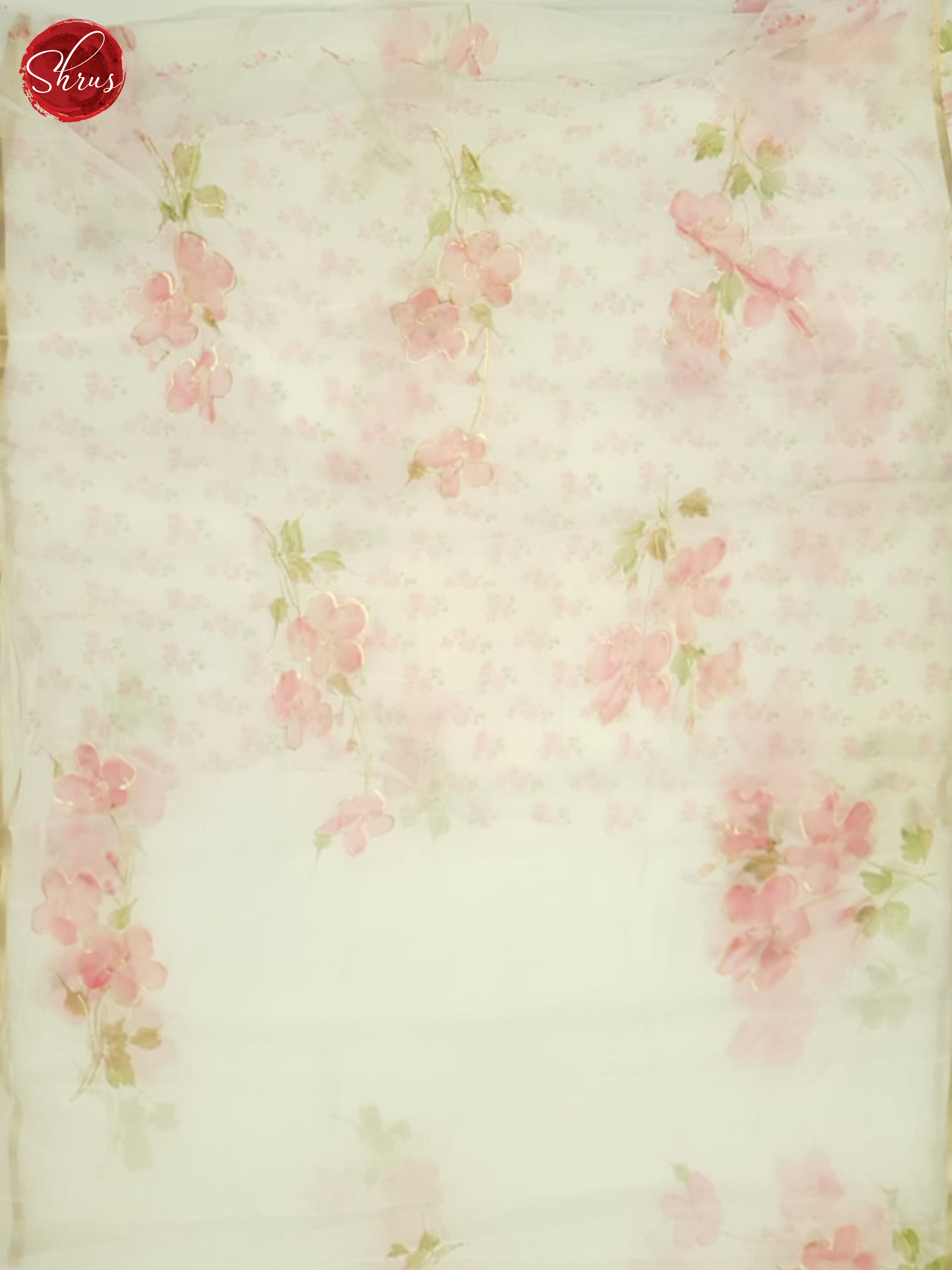 Cream(Single Tone) - Semi Organza Saree - Shop on ShrusEternity.com