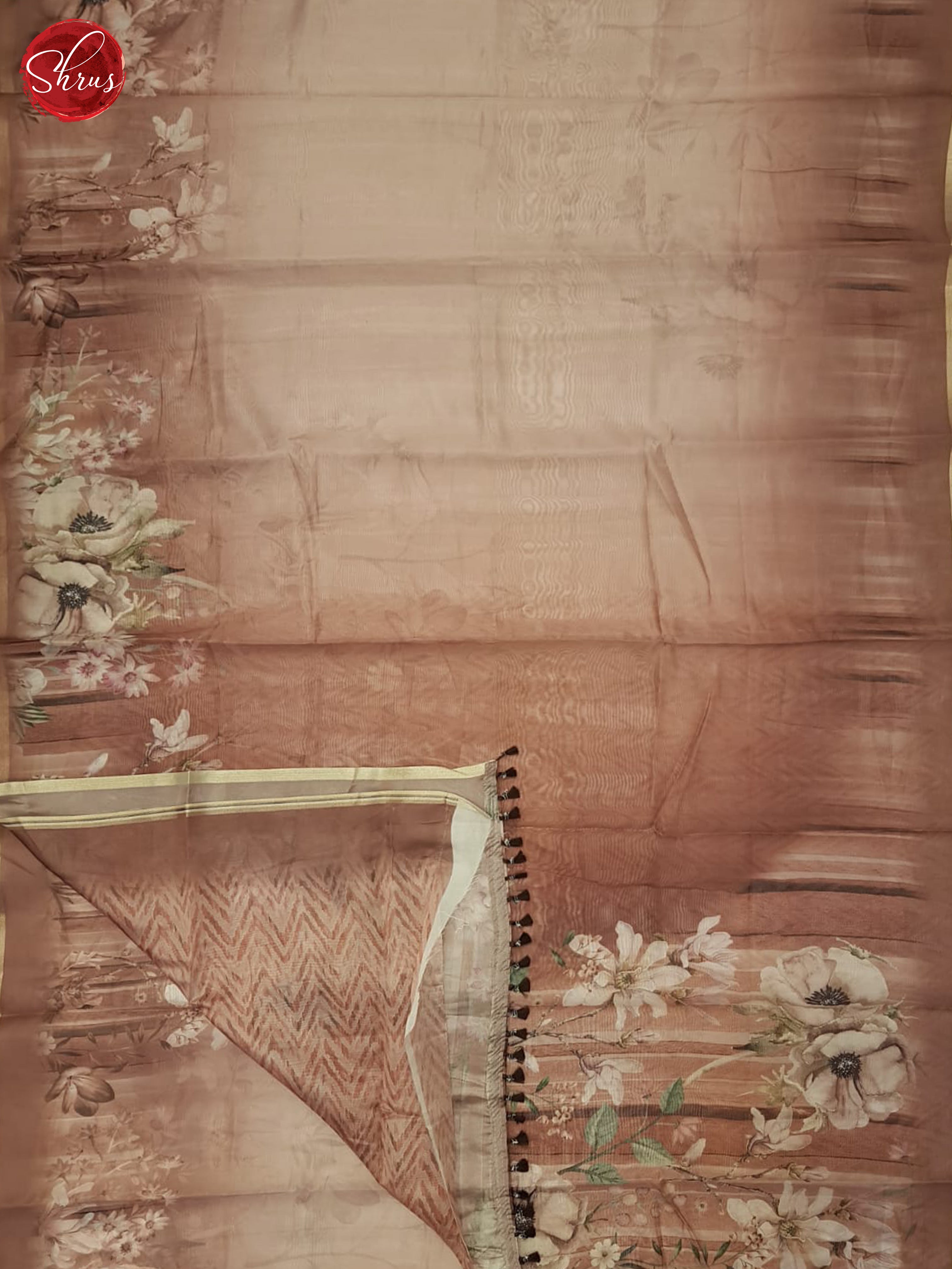 Onion Pink(Single Tone) - Semi Organza Saree - Shop on ShrusEternity.com