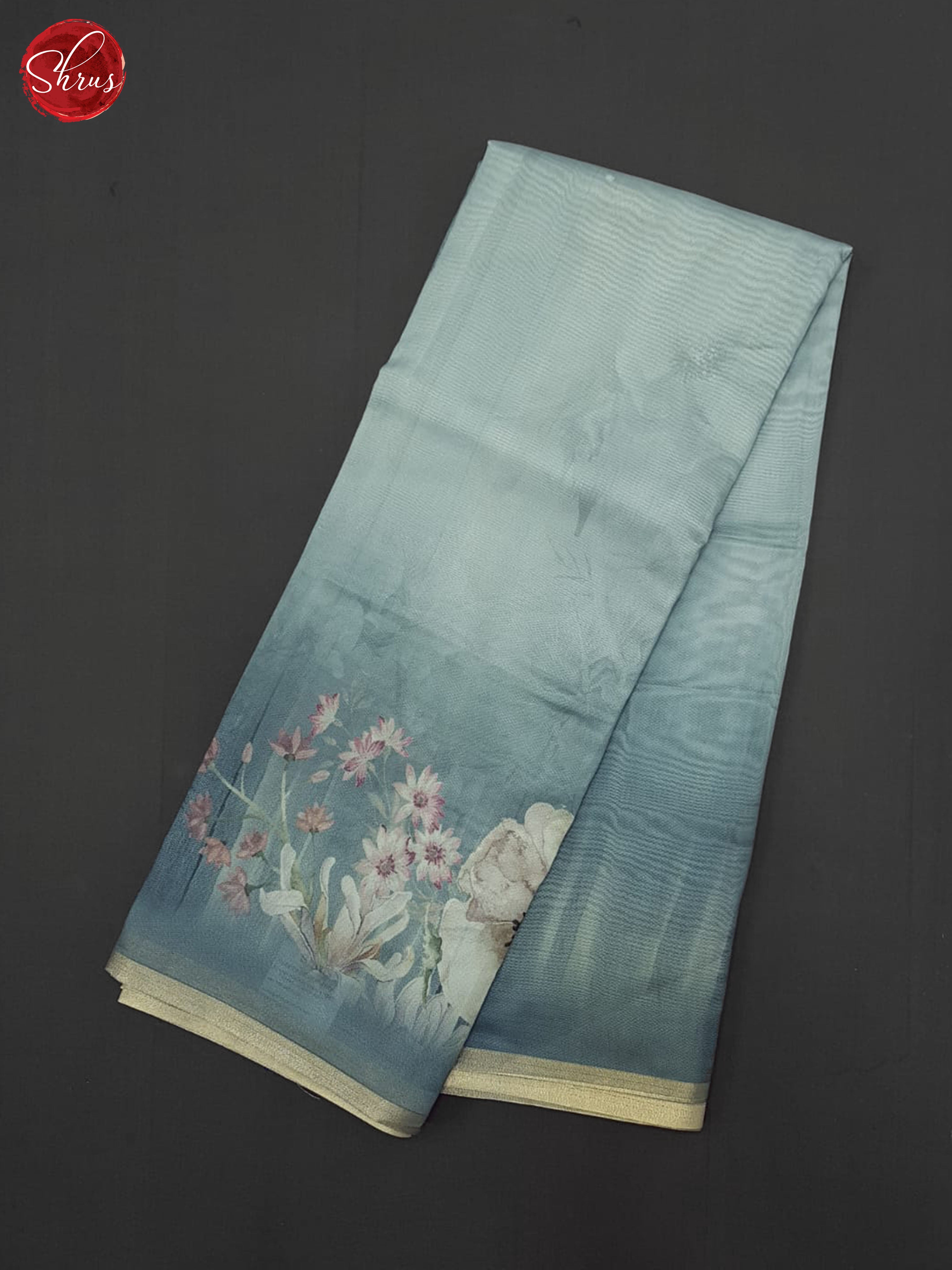 Bluish Grey(Single Tone)- Semi Organza Saree - Shop on ShrusEternity.com