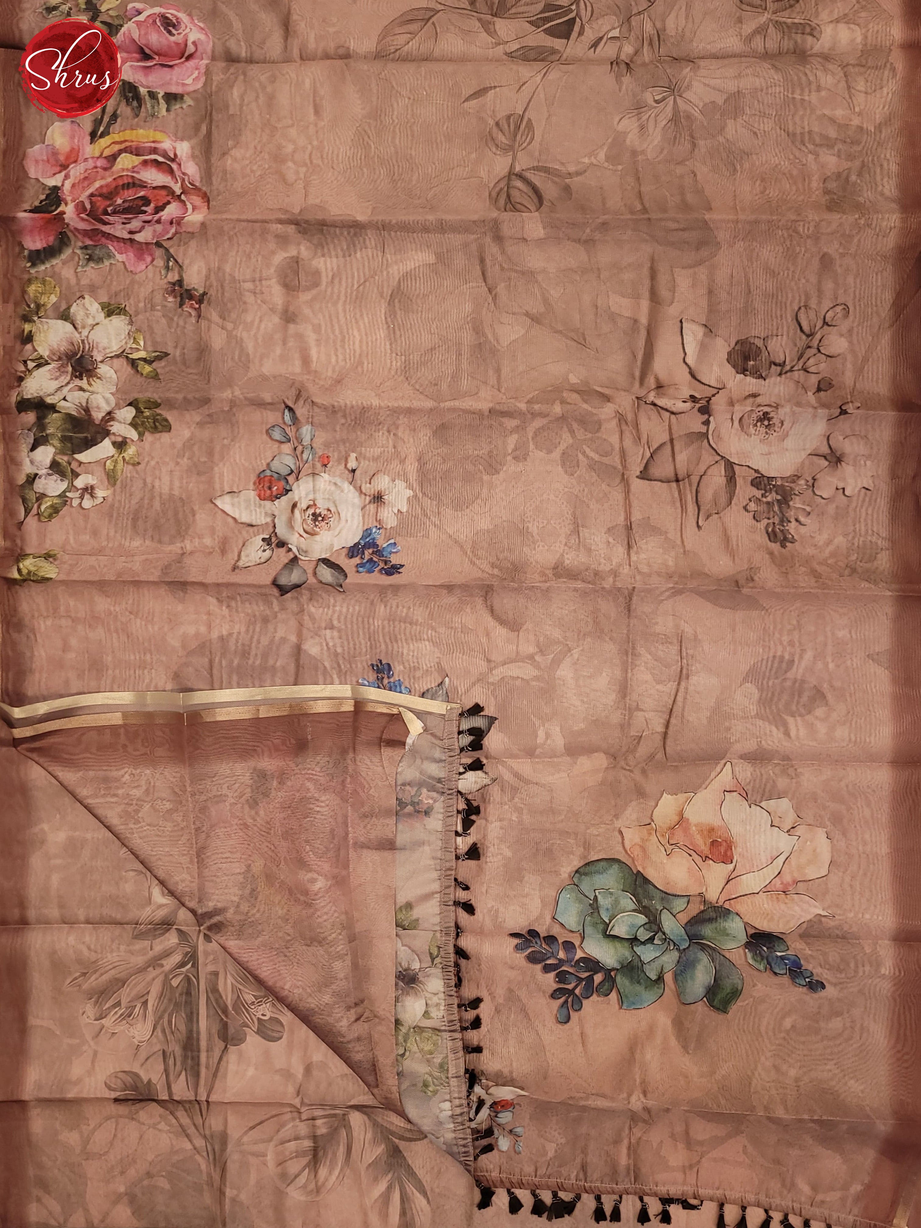 Light Brown(Single Tone)- Semi Organza Saree - Shop on ShrusEternity.com