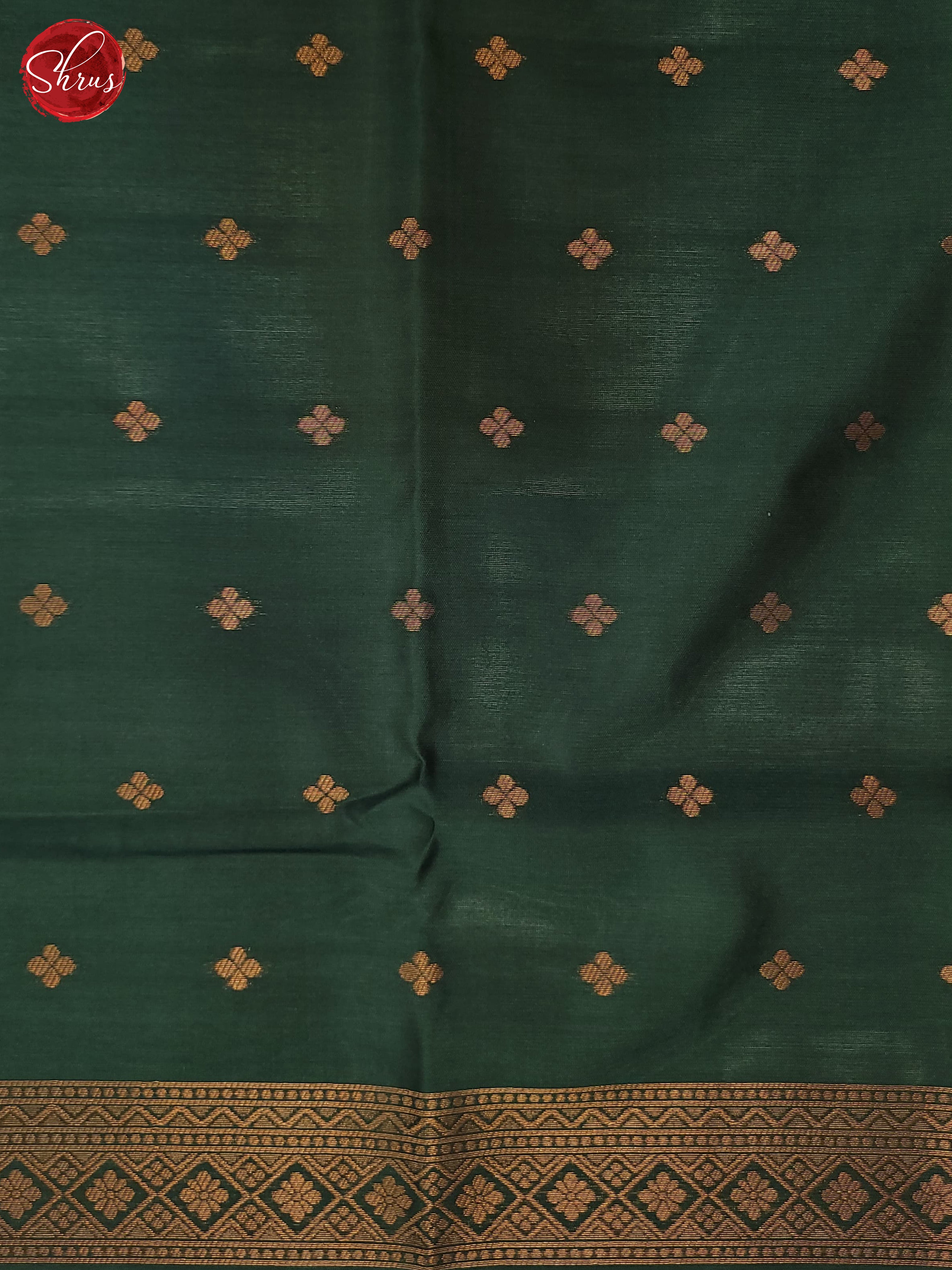 Beige & Green - Semi Softsilk Saree - Shop on ShrusEternity.com