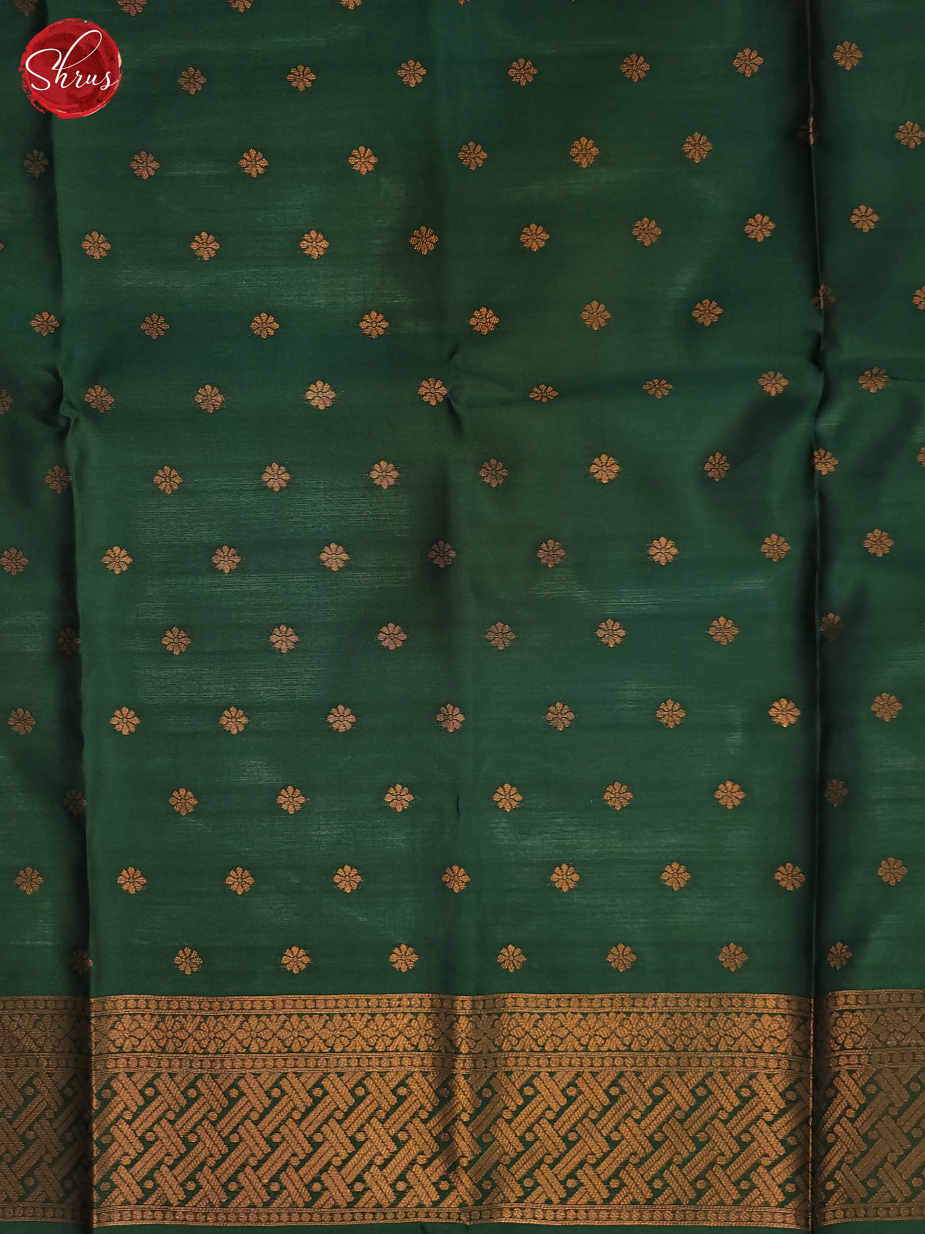 Pastel Green & Green - Semi Soft Silk Saree - Shop on ShrusEternity.com