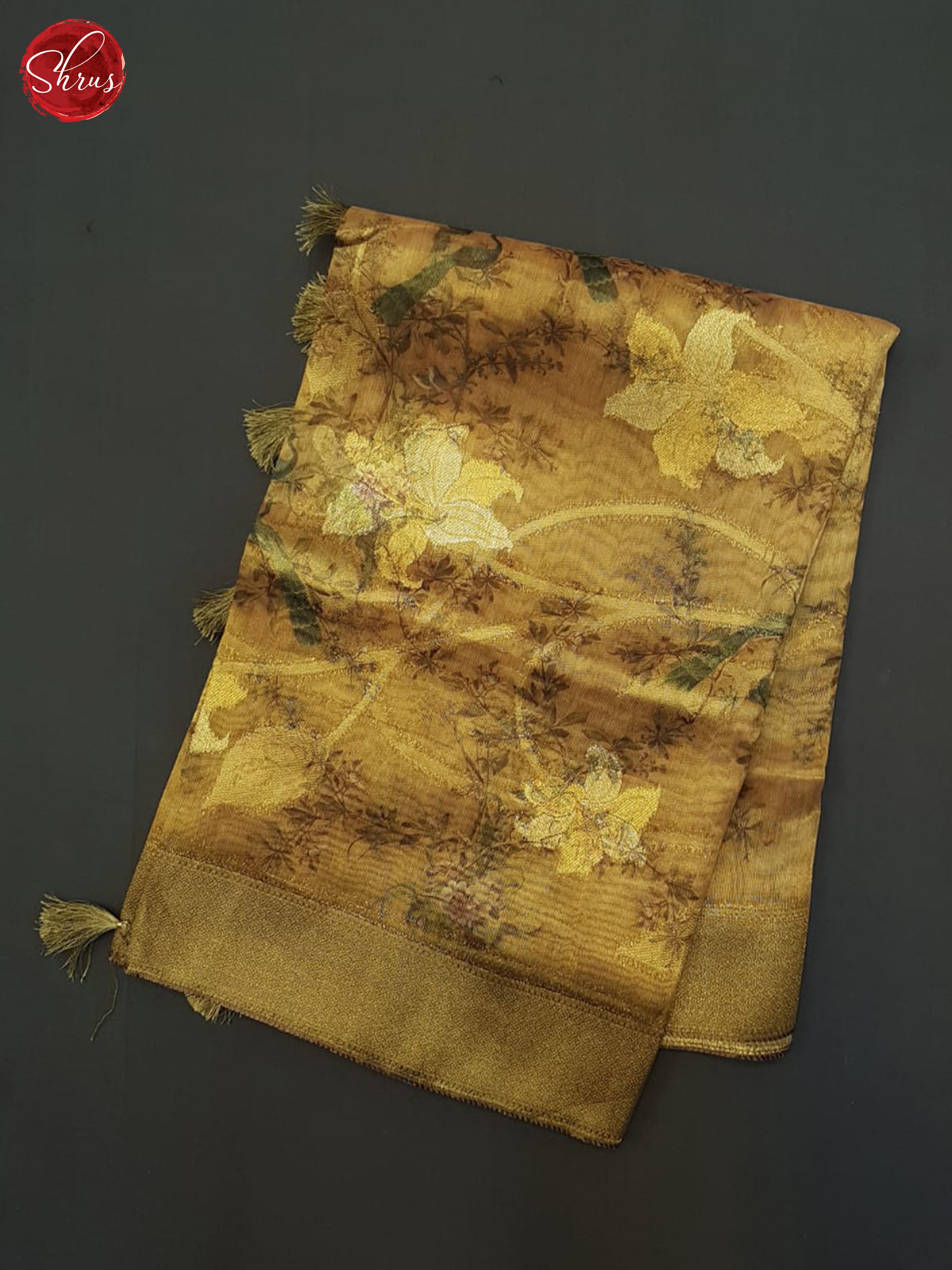 Golden Brown - Semi Tissue Saree - Shop on ShrusEternity.com