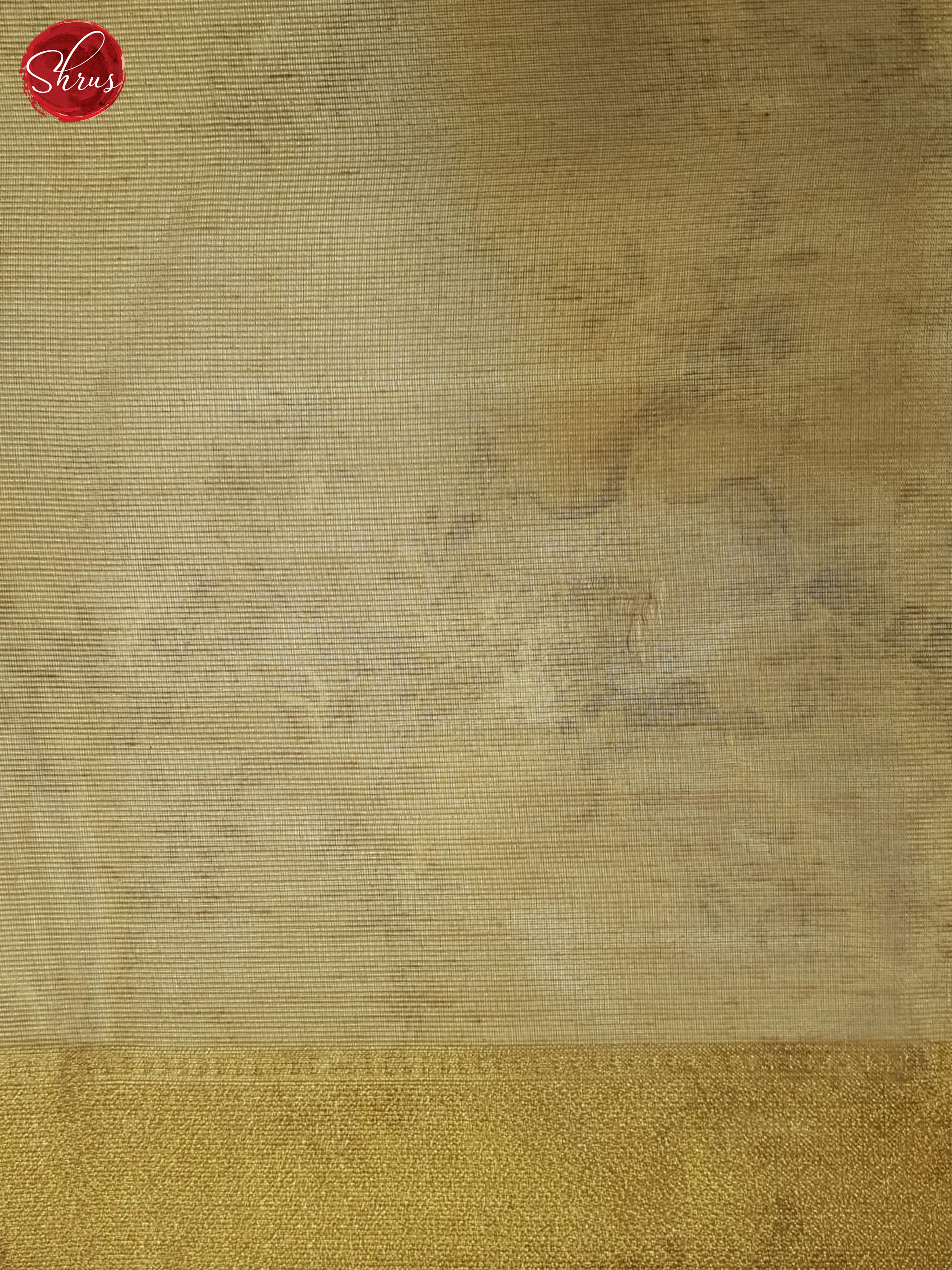 Golden Brown - Semi Tissue Saree - Shop on ShrusEternity.com