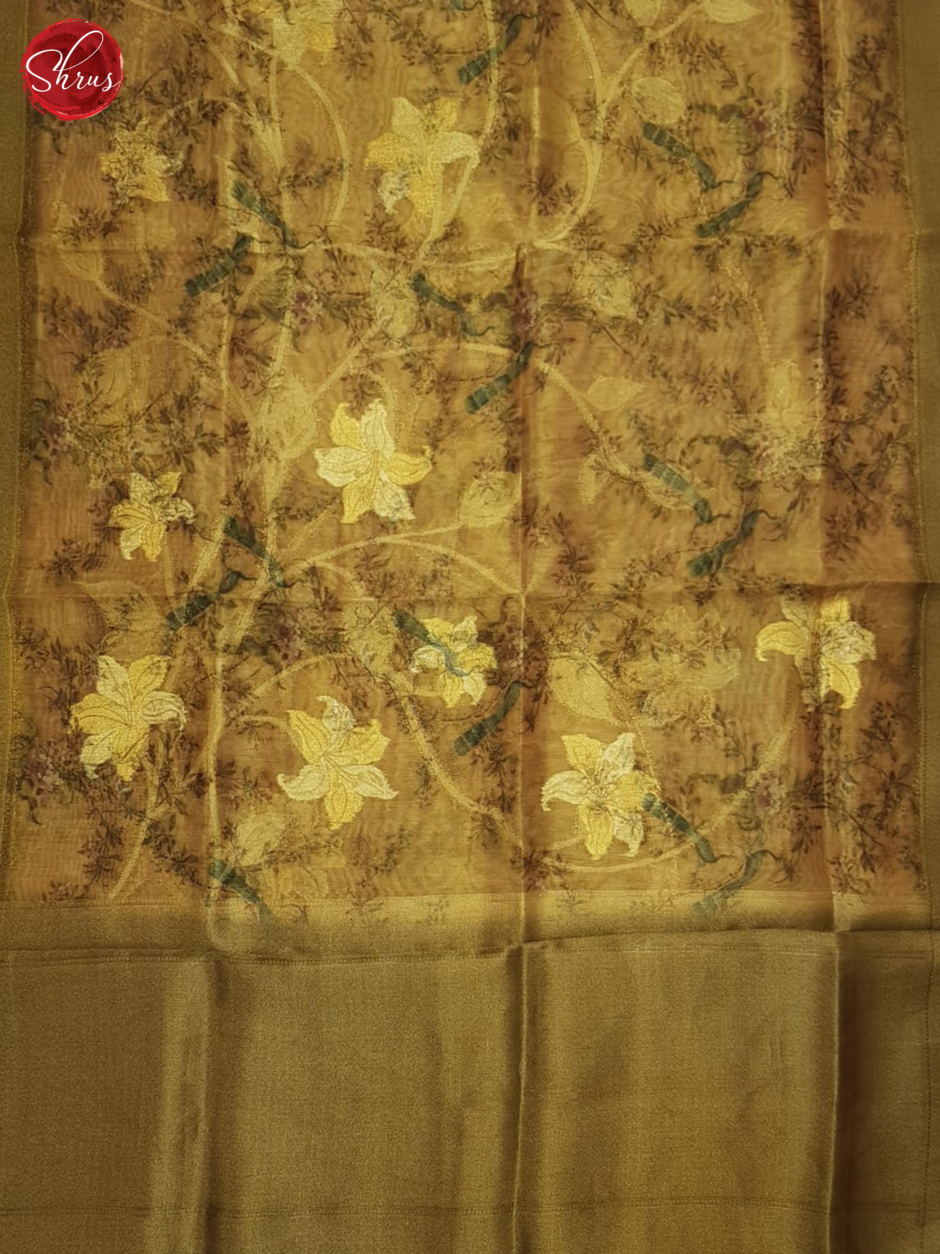 Golden Brown - Semi Tissue Saree - Shop on ShrusEternity.com