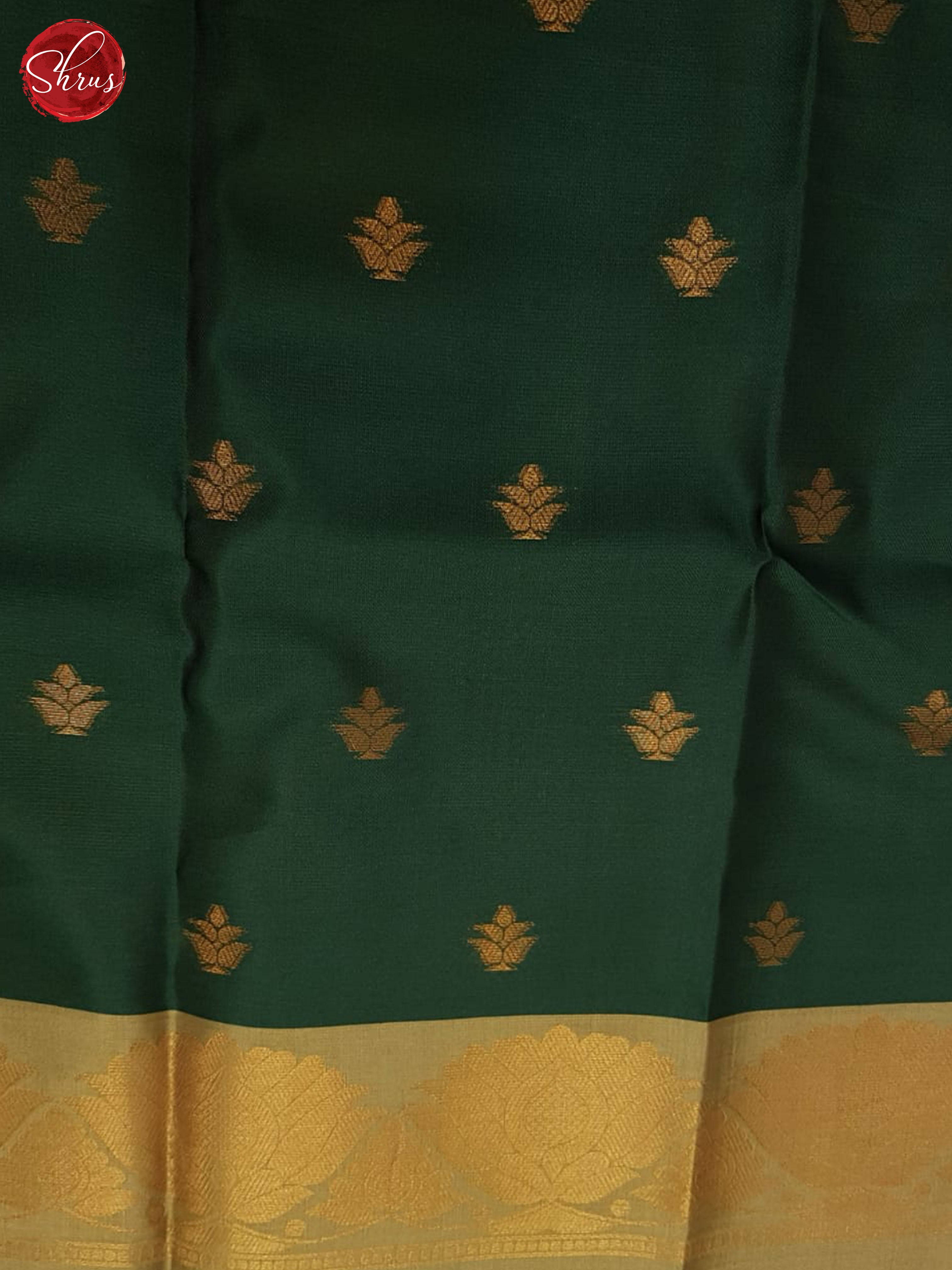 Grey and Green- Semi Softsilk Saree - Shop on ShrusEternity.com