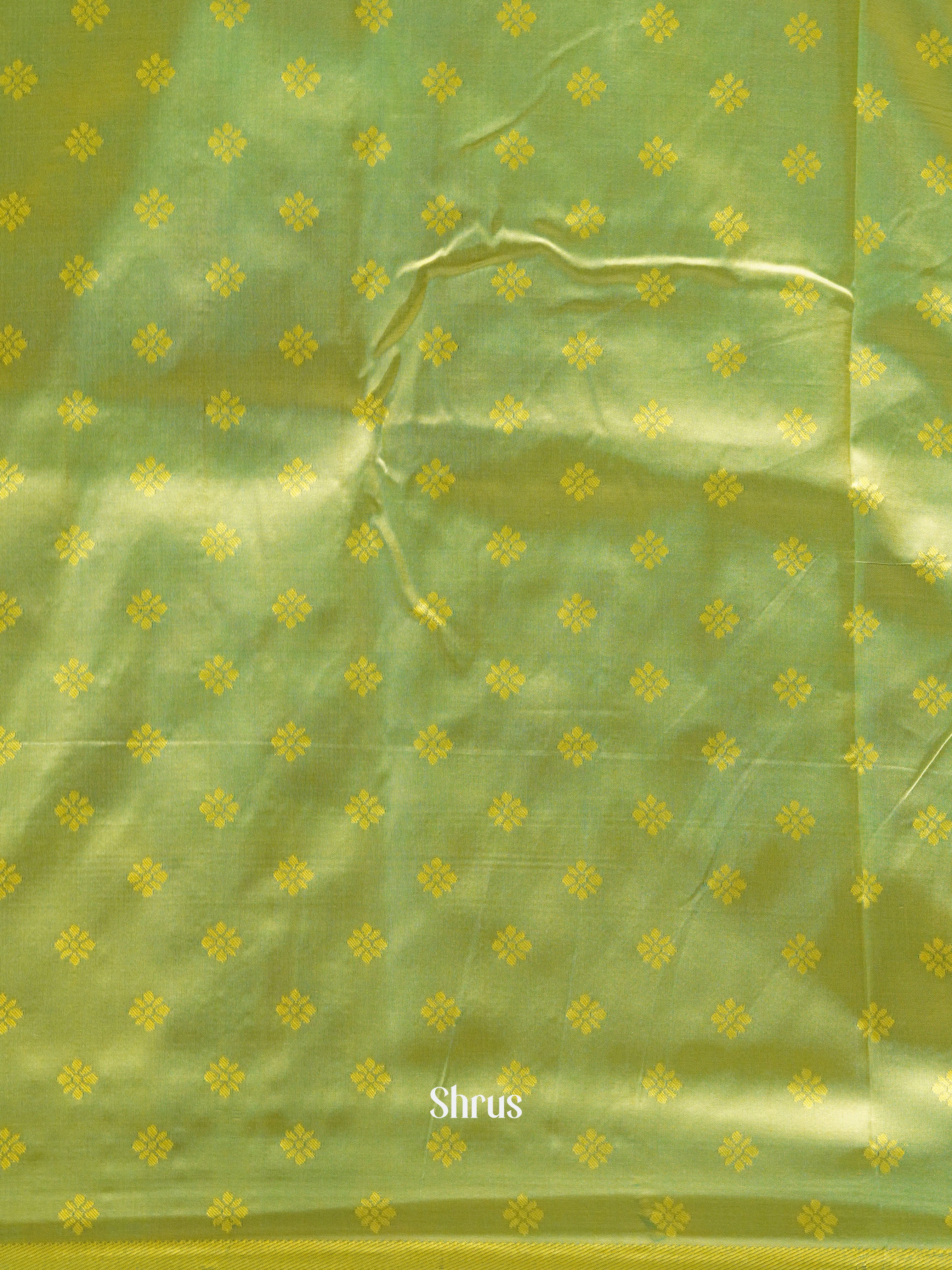 Green(Single Tone) - Semi Paithani Saree - Shop on ShrusEternity.com