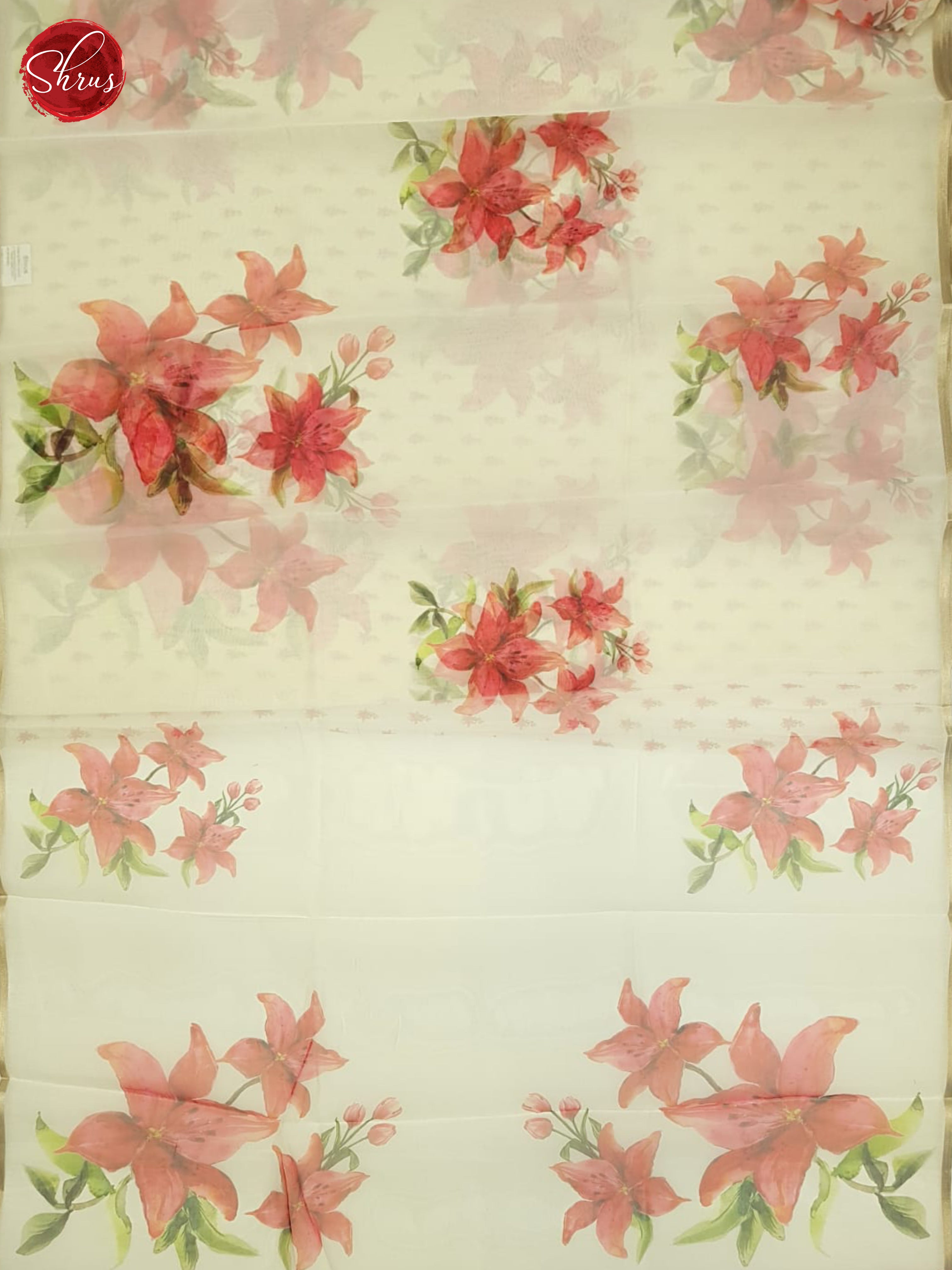 Cream(Single tone)-Semi Organza Saree - Shop on ShrusEternity.com