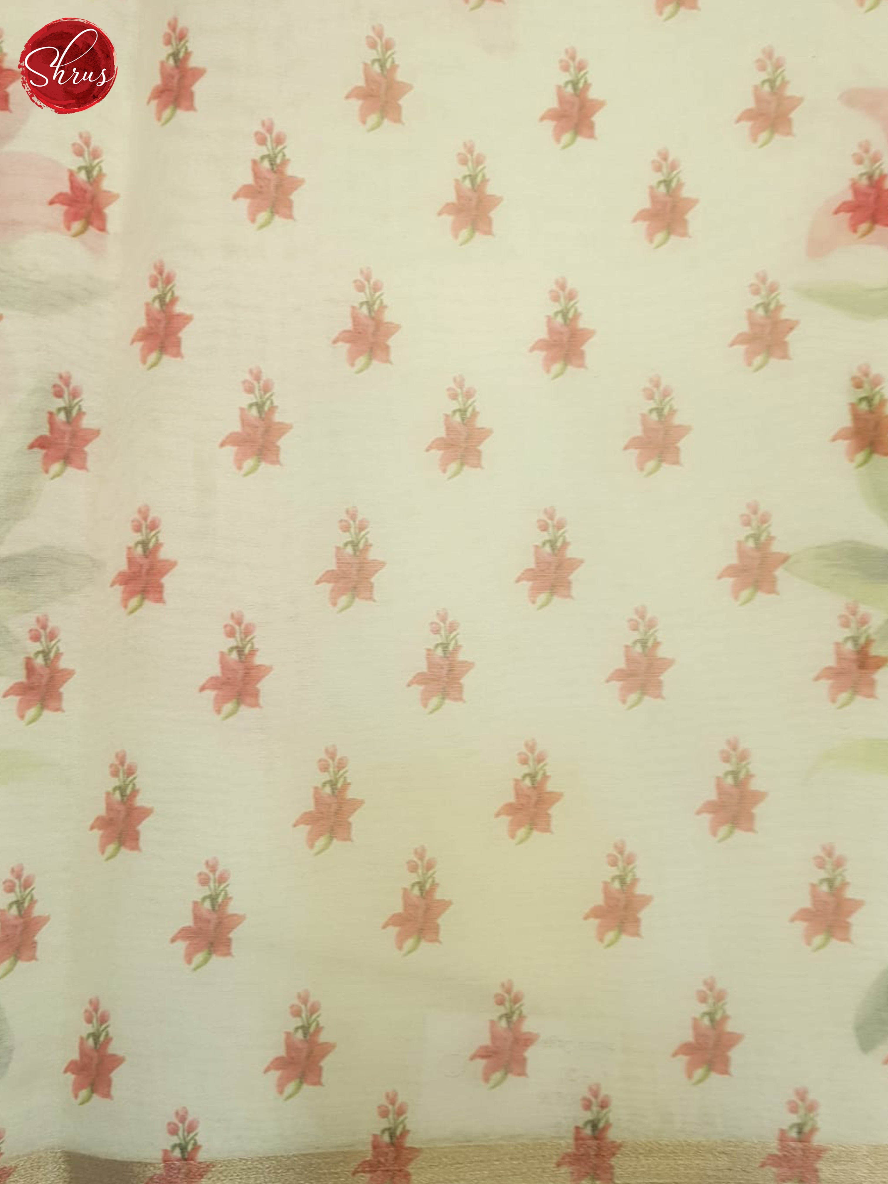 Cream(Single tone)-Semi Organza Saree - Shop on ShrusEternity.com