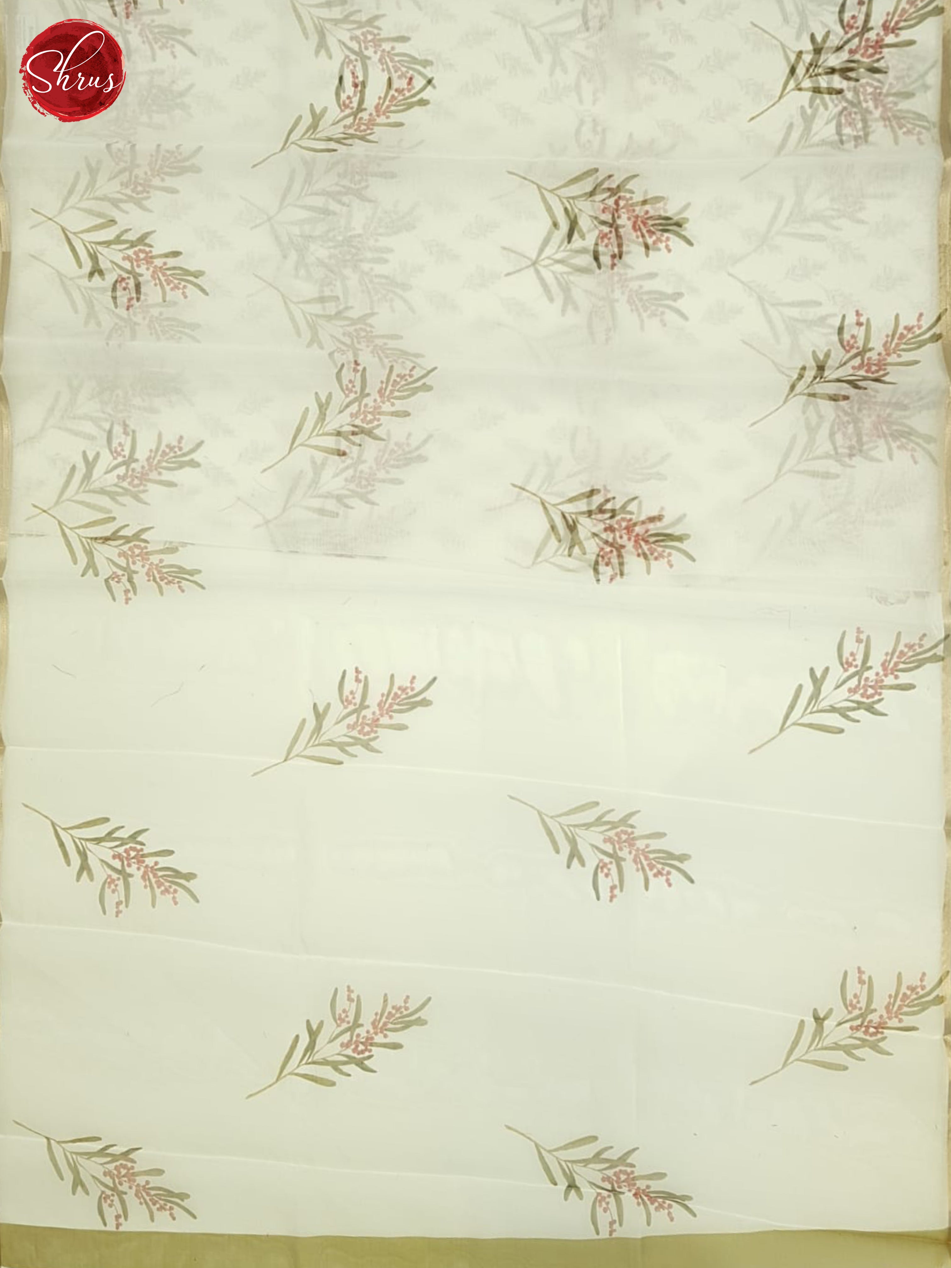 Cream(Single tone)-Semi Organza Saree - Shop on ShrusEternity.com