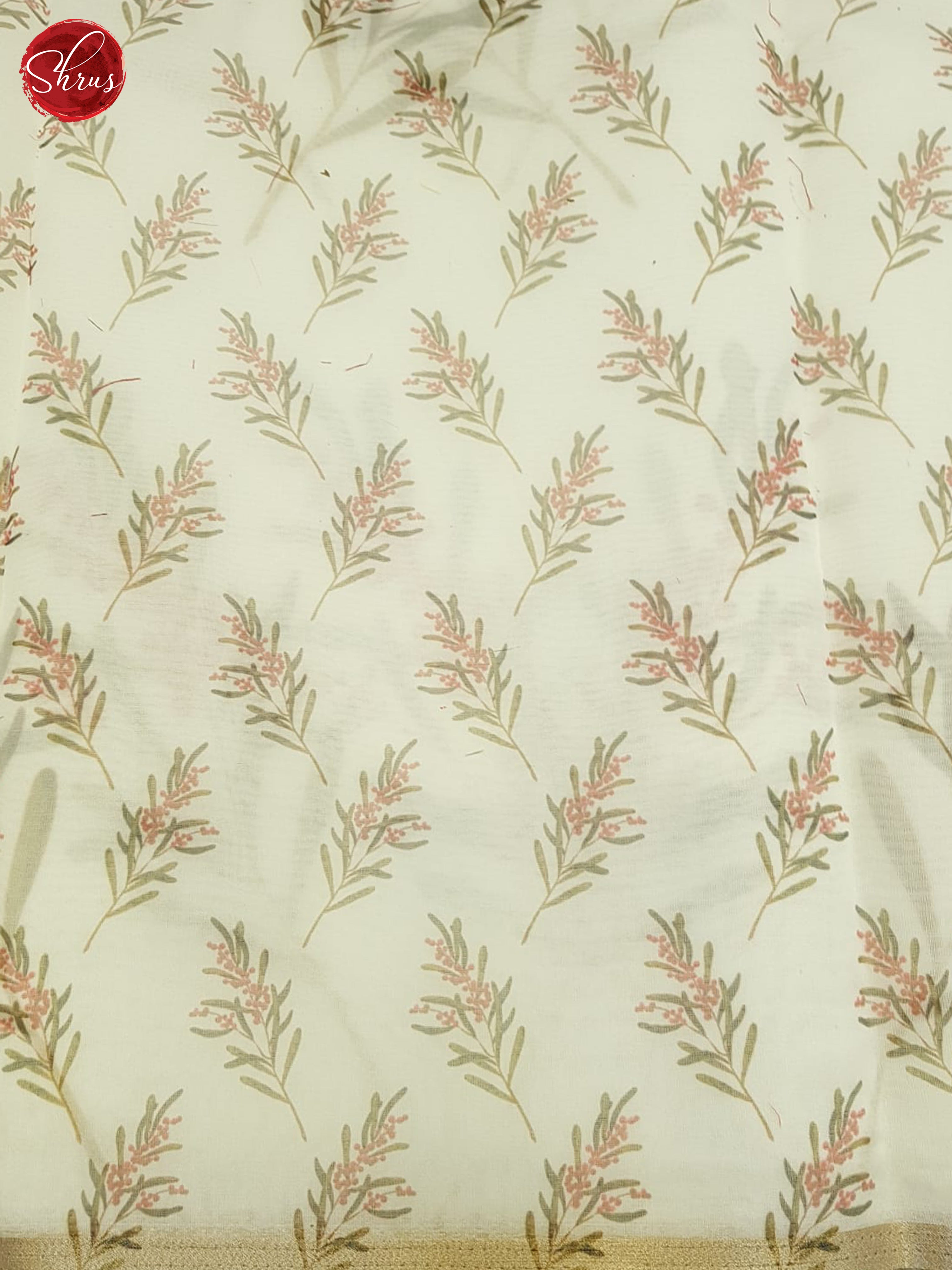 Cream(Single tone)-Semi Organza Saree - Shop on ShrusEternity.com