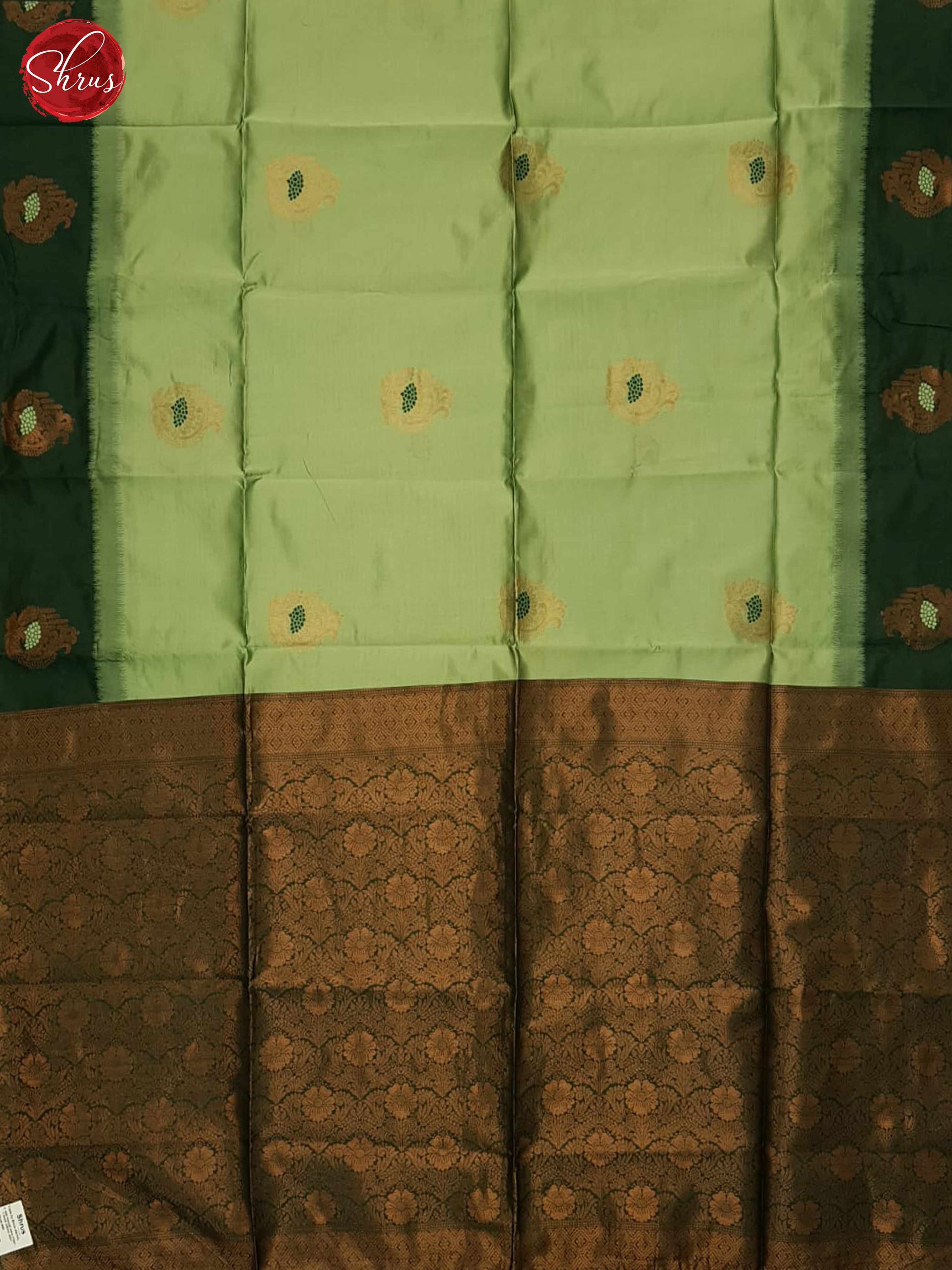 Pista Green & Green - Semi Softsilk Saree - Shop on ShrusEternity.com