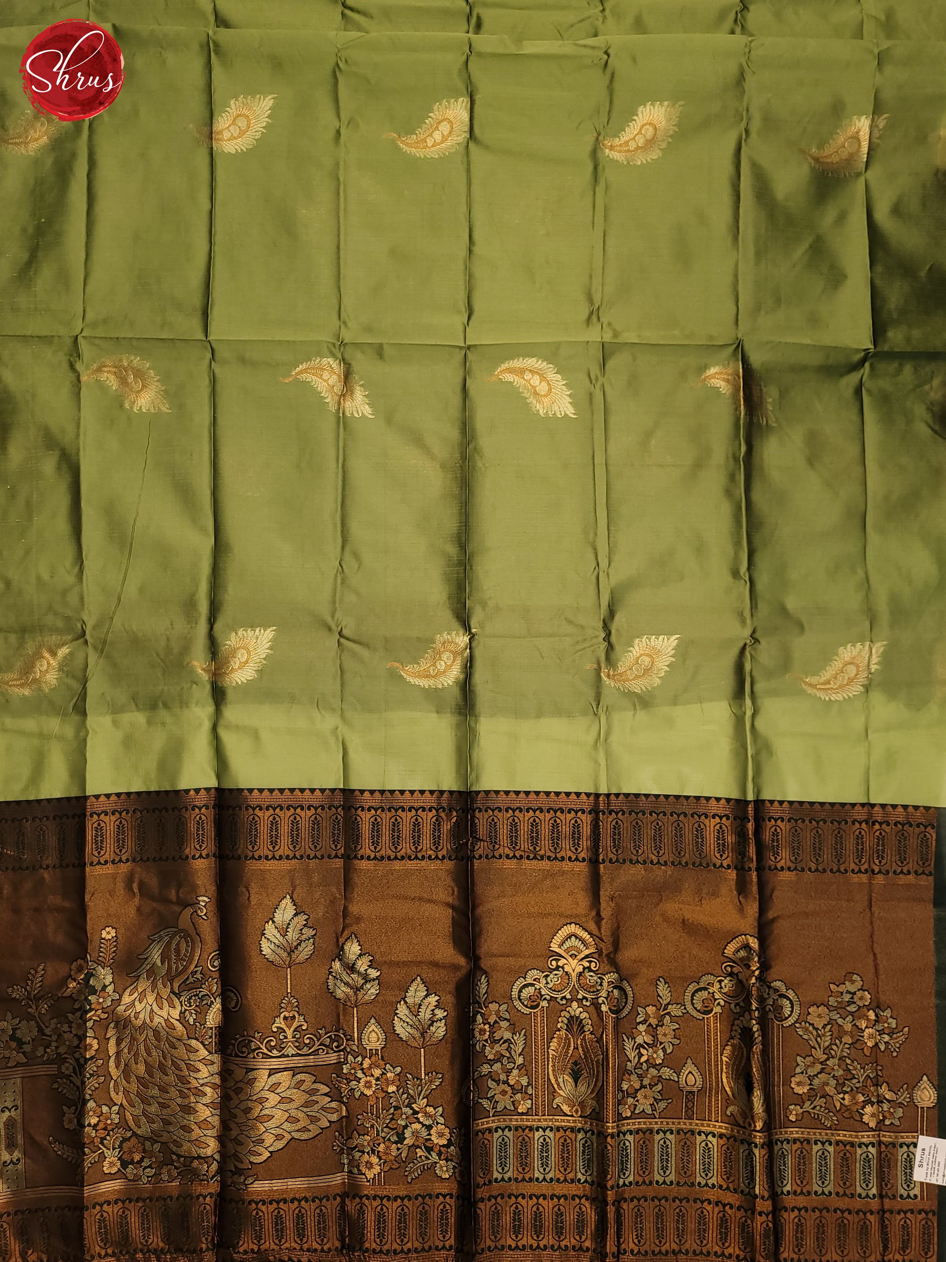Pista Green & Green -Semi Soft Silk Saree - Shop on ShrusEternity.com