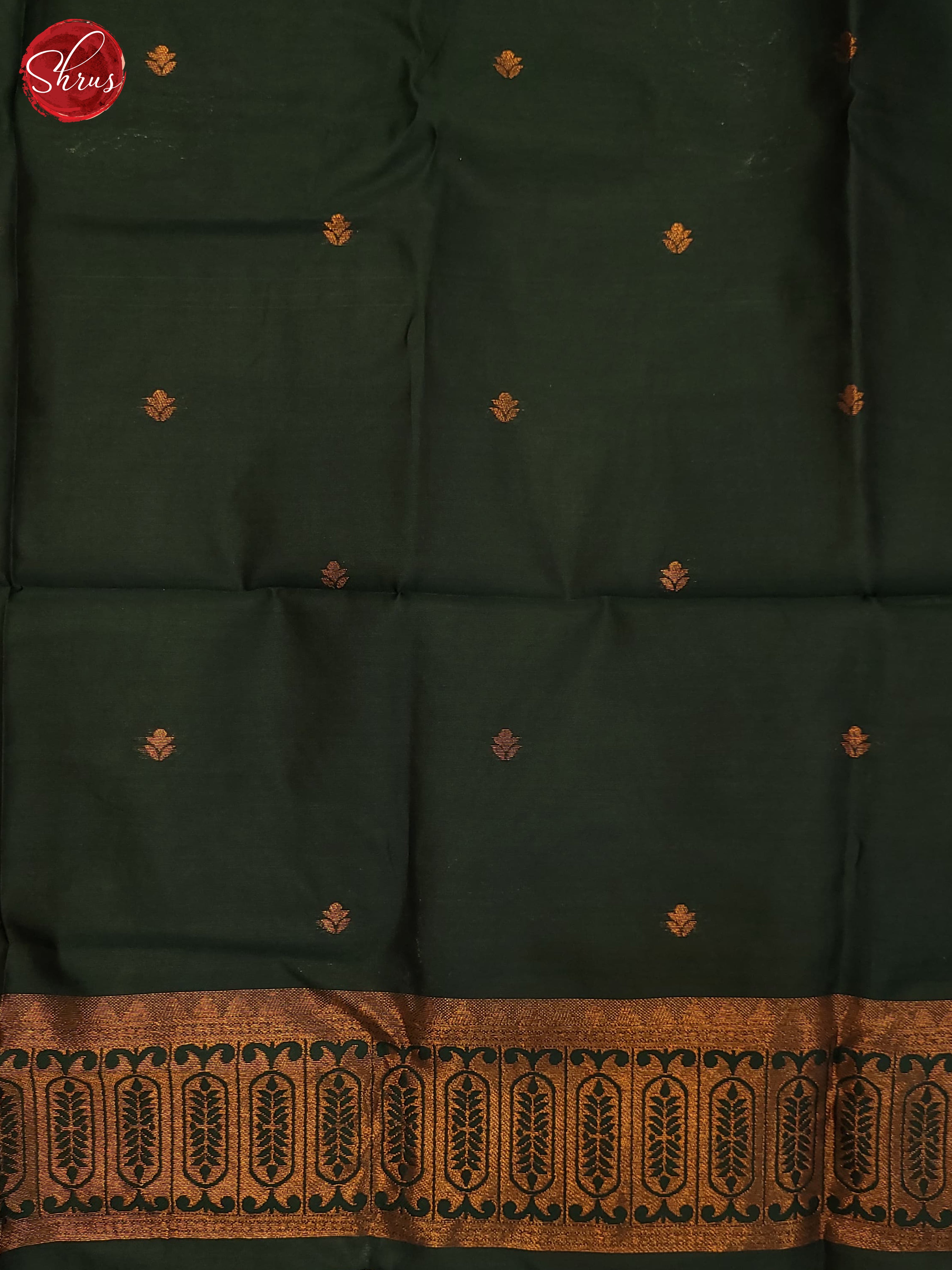 Pista Green & Green -Semi Soft Silk Saree - Shop on ShrusEternity.com