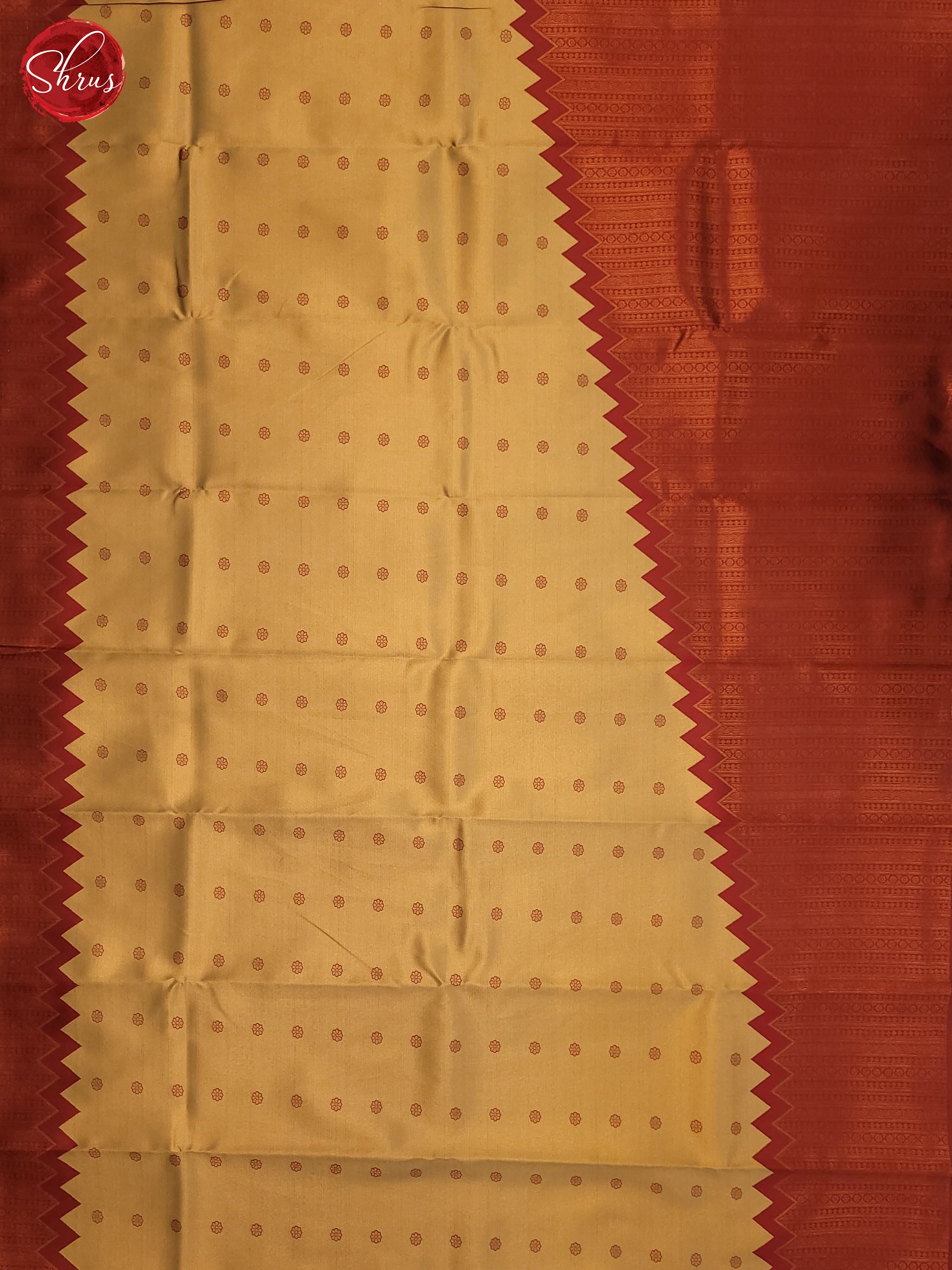 Beige & Red - Semi Tissue Saree - Shop on ShrusEternity.com