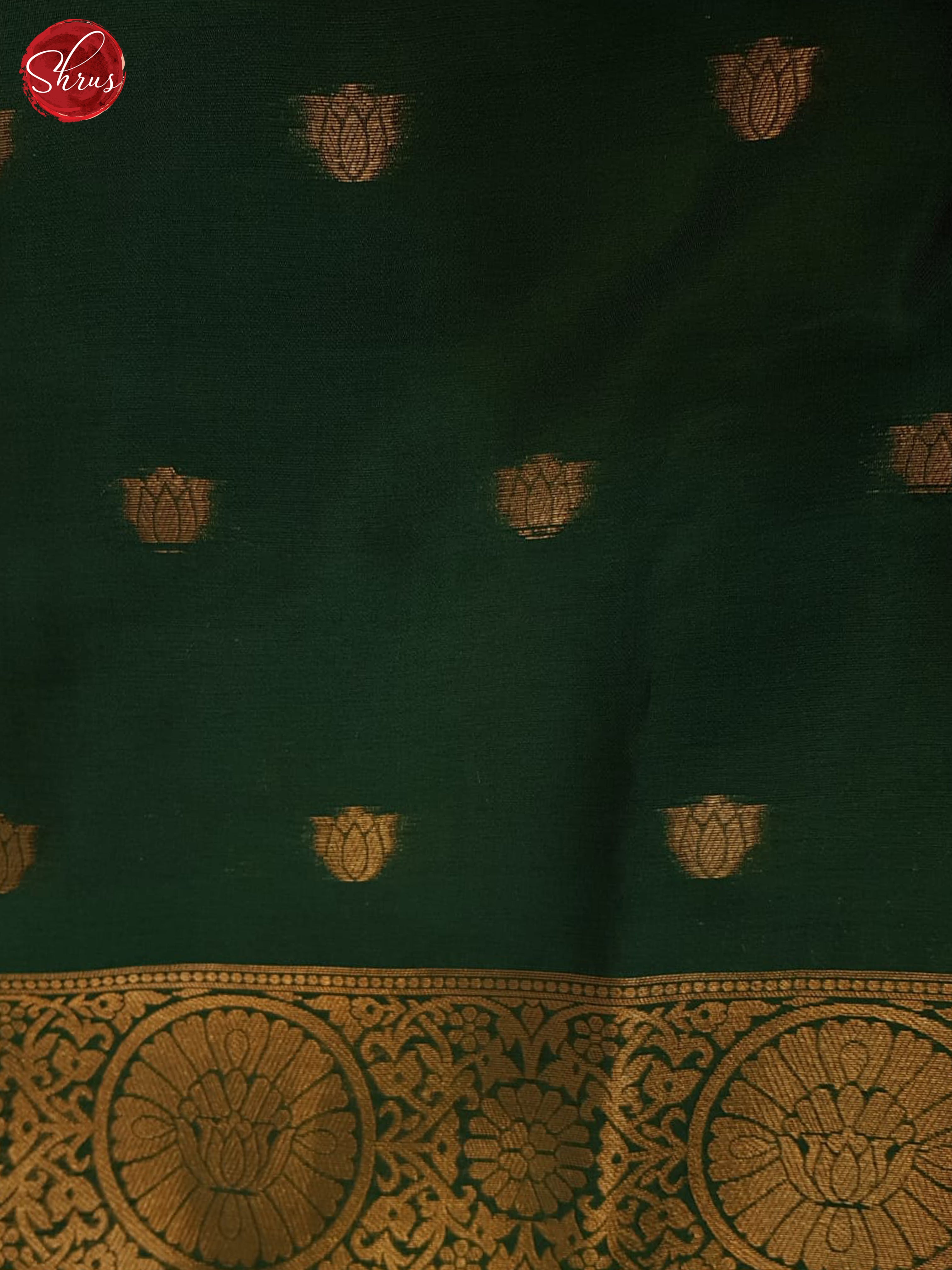 Wine & Green - Semi Softsilk Saree - Shop on ShrusEternity.com