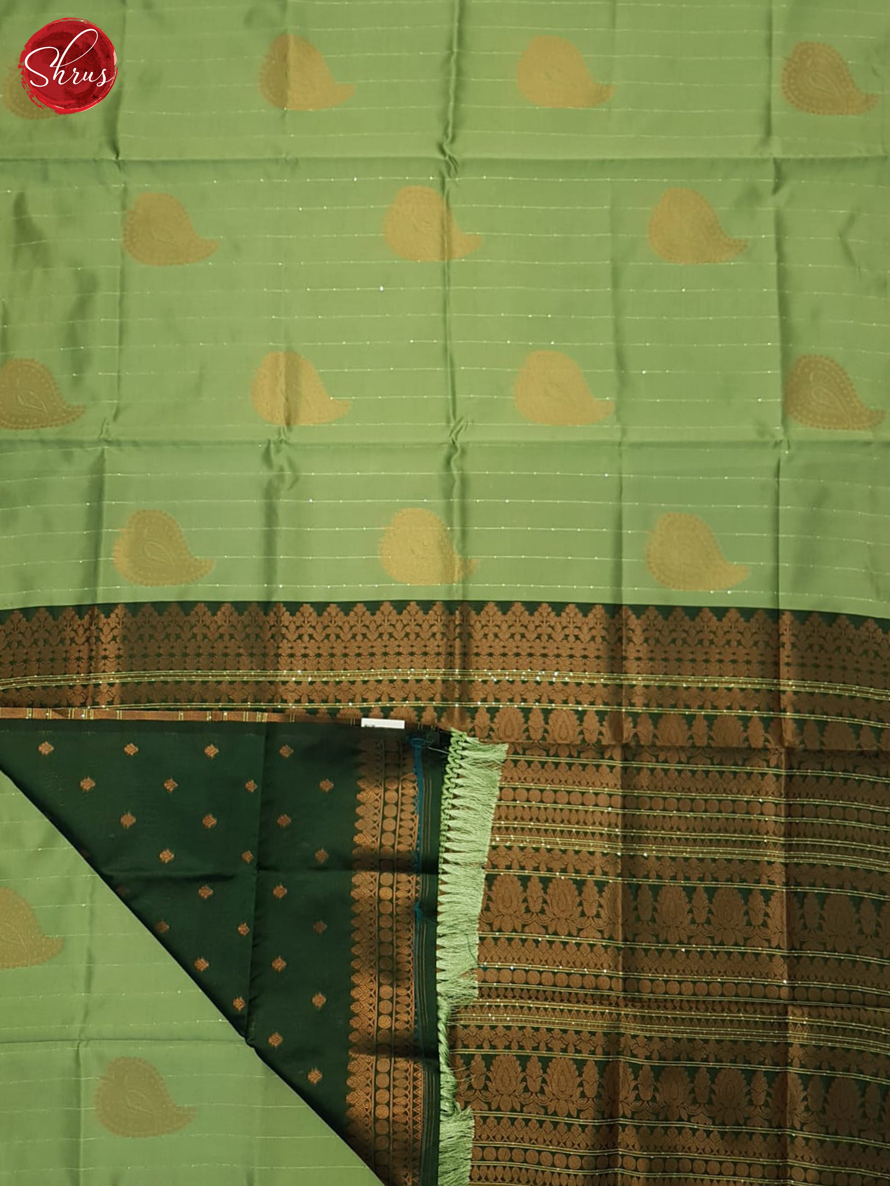 Light Green & Green - Semi Softsilk Saree - Shop on ShrusEternity.com