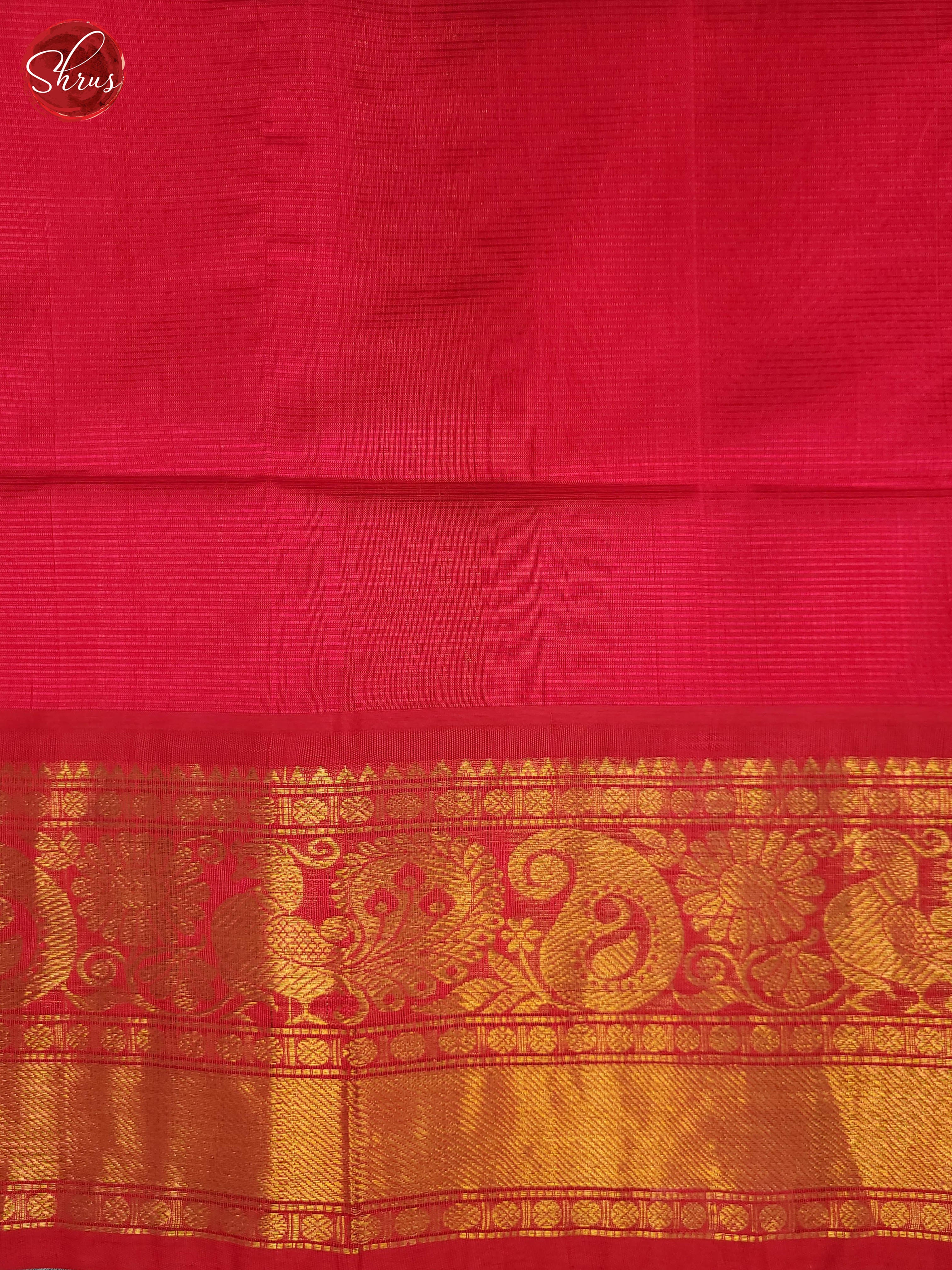 Double shaded Blue and Pink - Silk Cotton Saree - Shop on ShrusEternity.com
