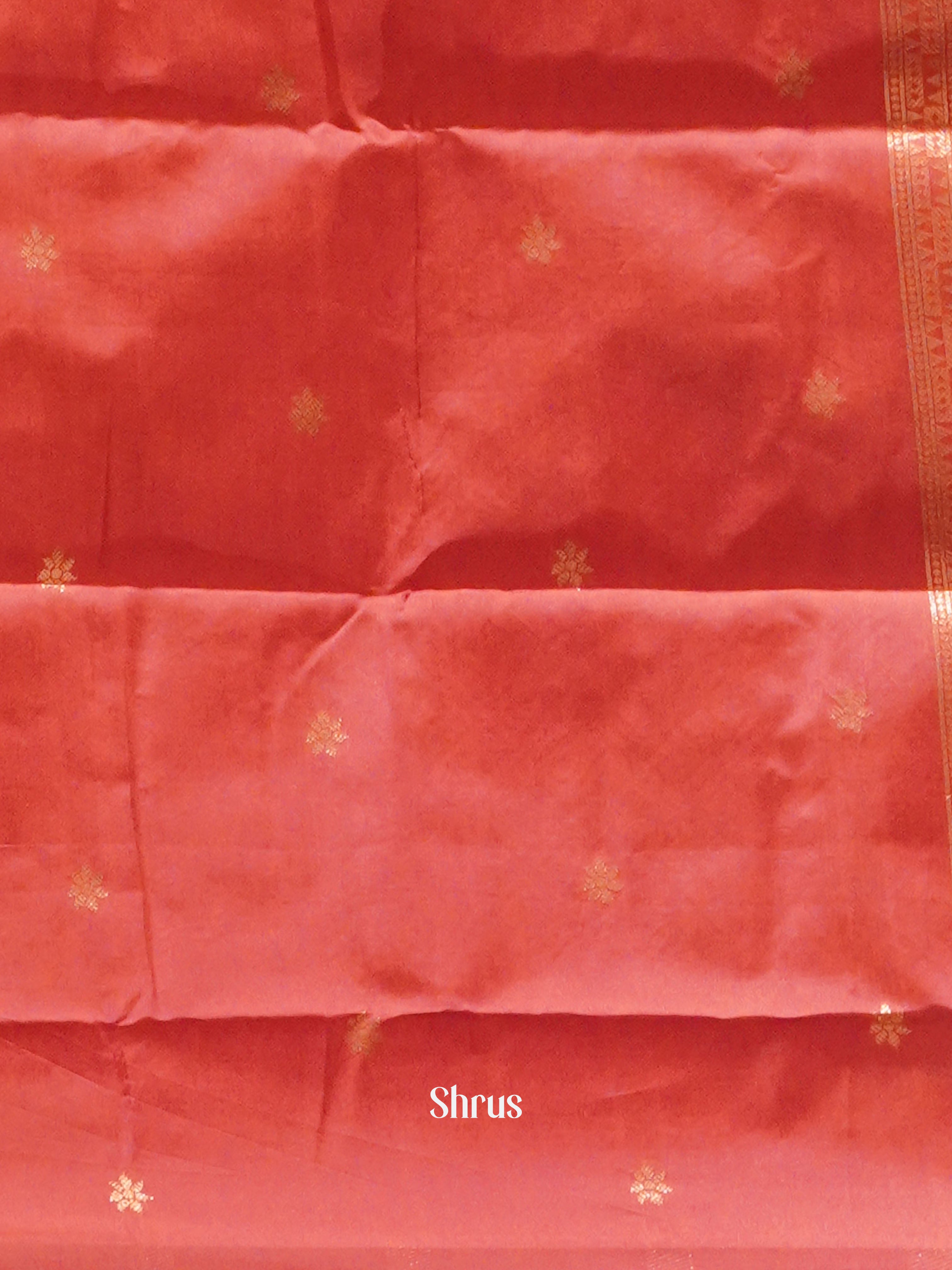 Green And Pink-Semi soft silk saree - Shop on ShrusEternity.com