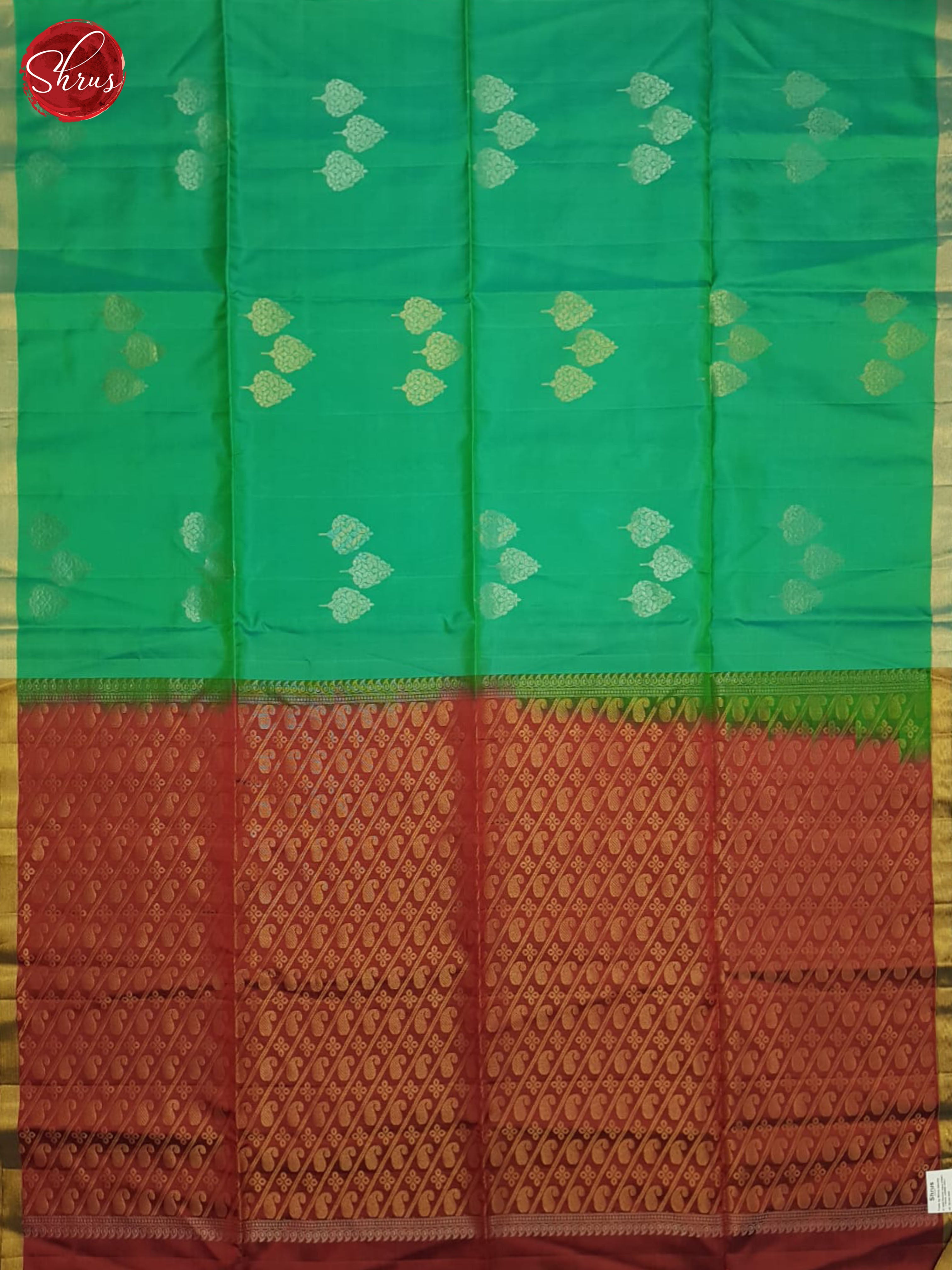 Green And Marron - Shop on ShrusEternity.com