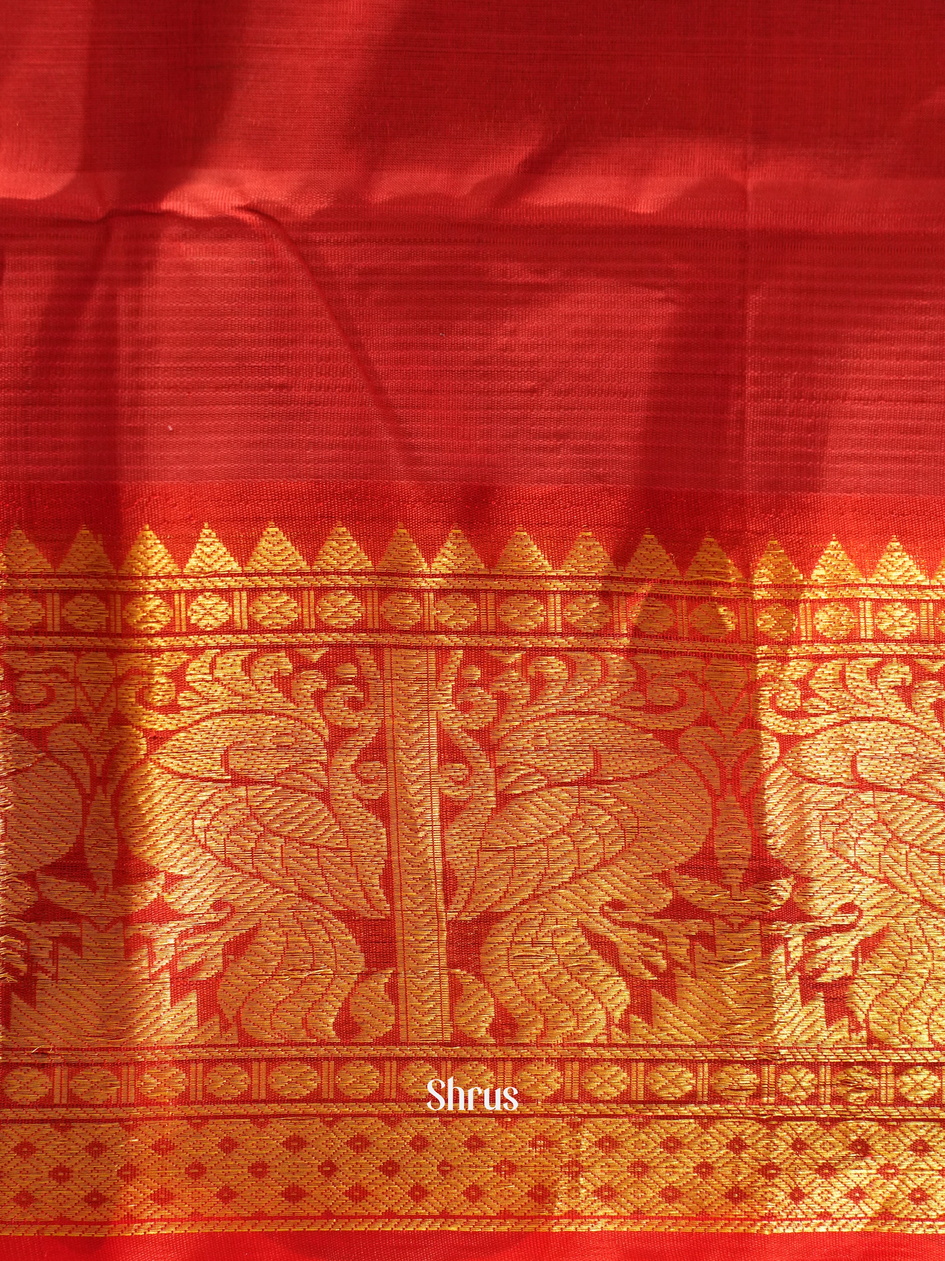 Blue And Red- Silk cotton Saree - Shop on ShrusEternity.com