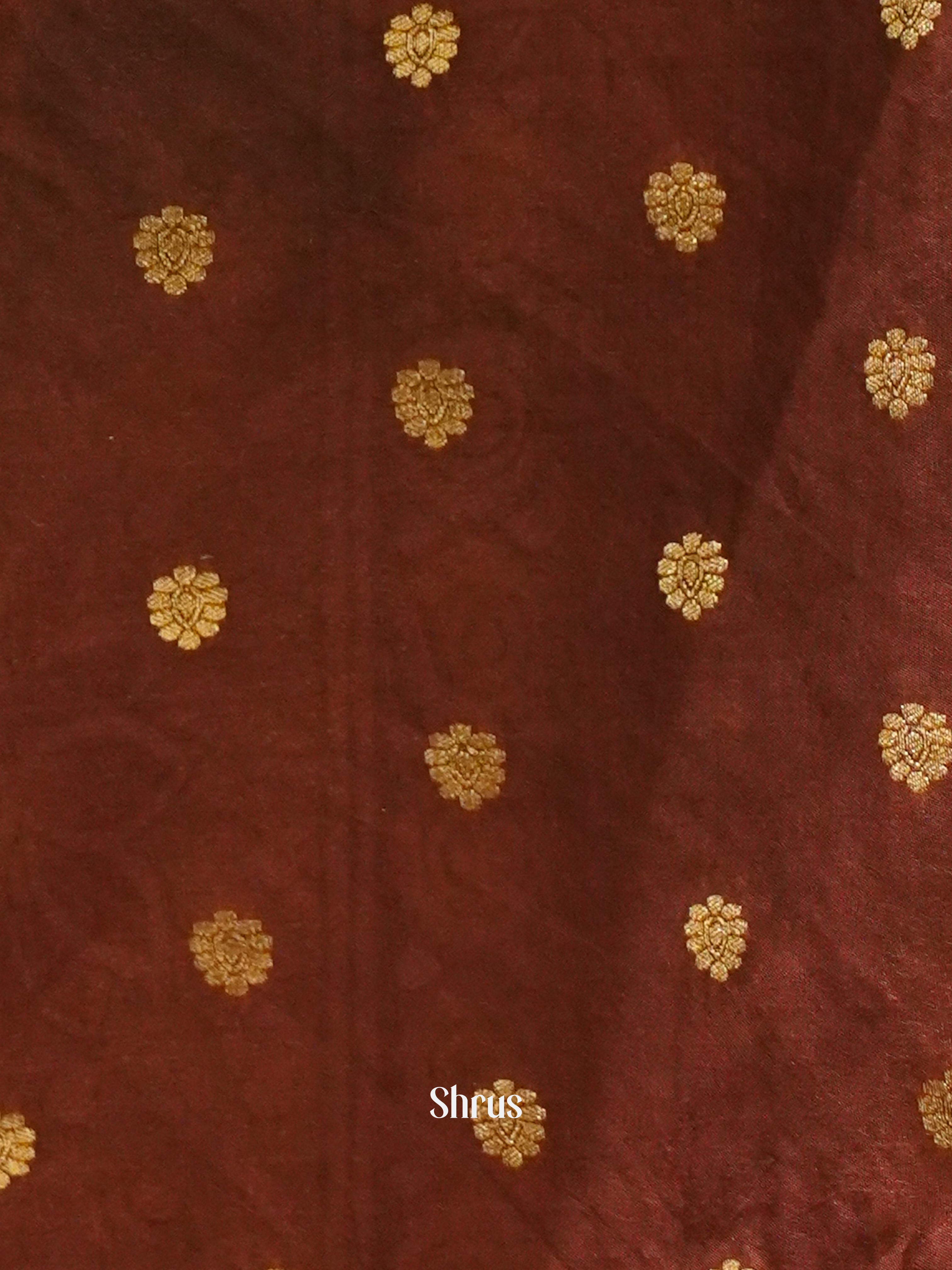 Beige And Brown-Semi Crepe Saree - Shop on ShrusEternity.com