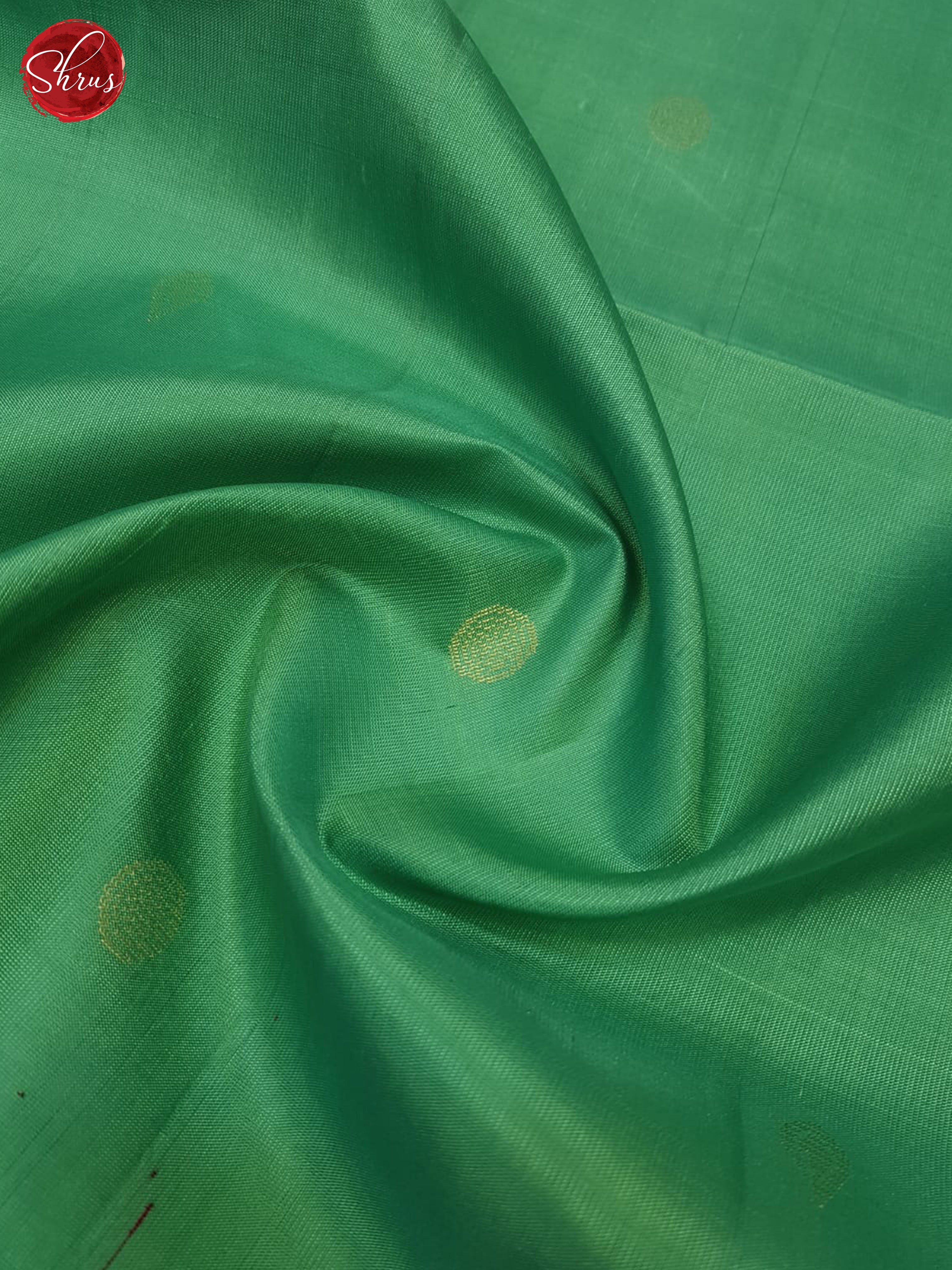 Pastel Green And Wine-Soft Silk saree - Shop on ShrusEternity.com