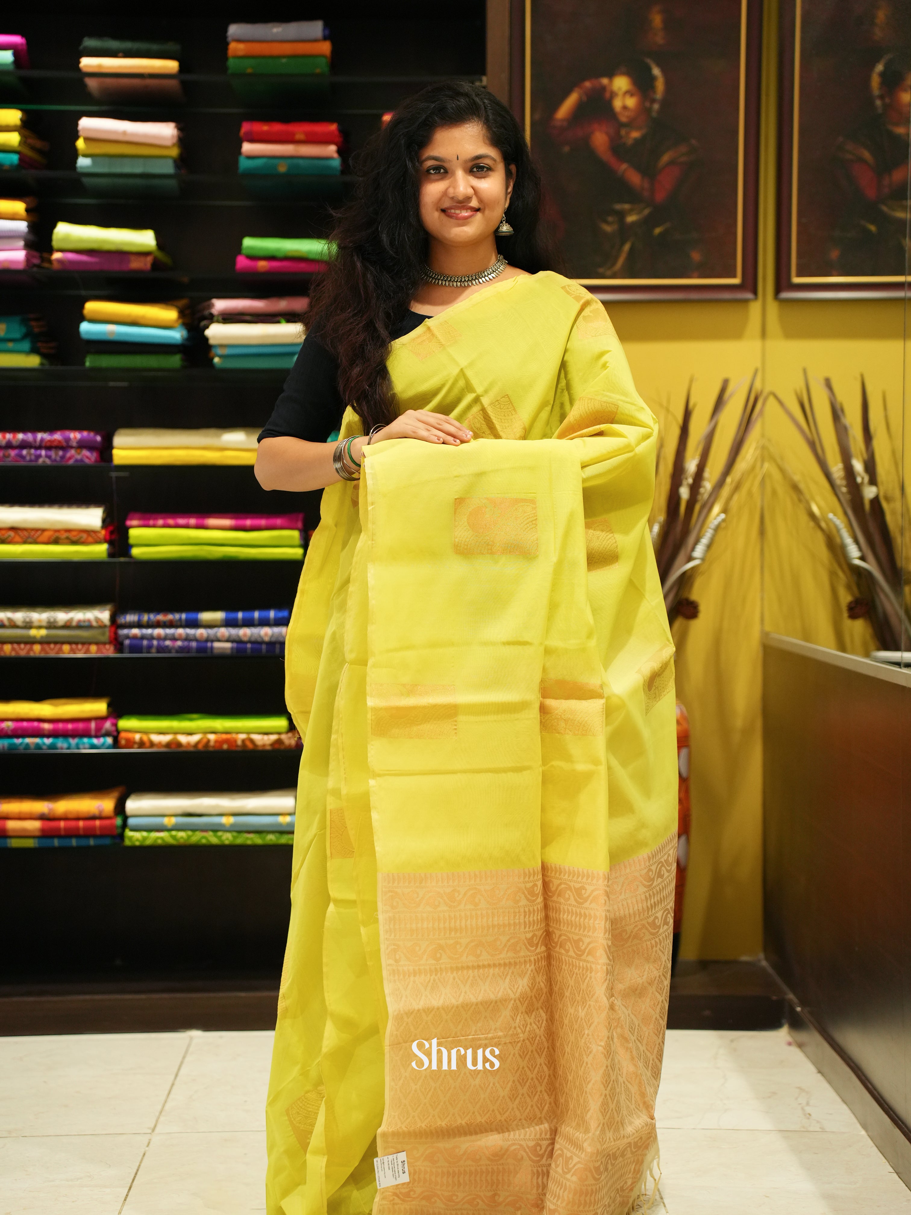 Light Apple Green and Beige-Semi Silk Cotton saree - Shop on ShrusEternity.com