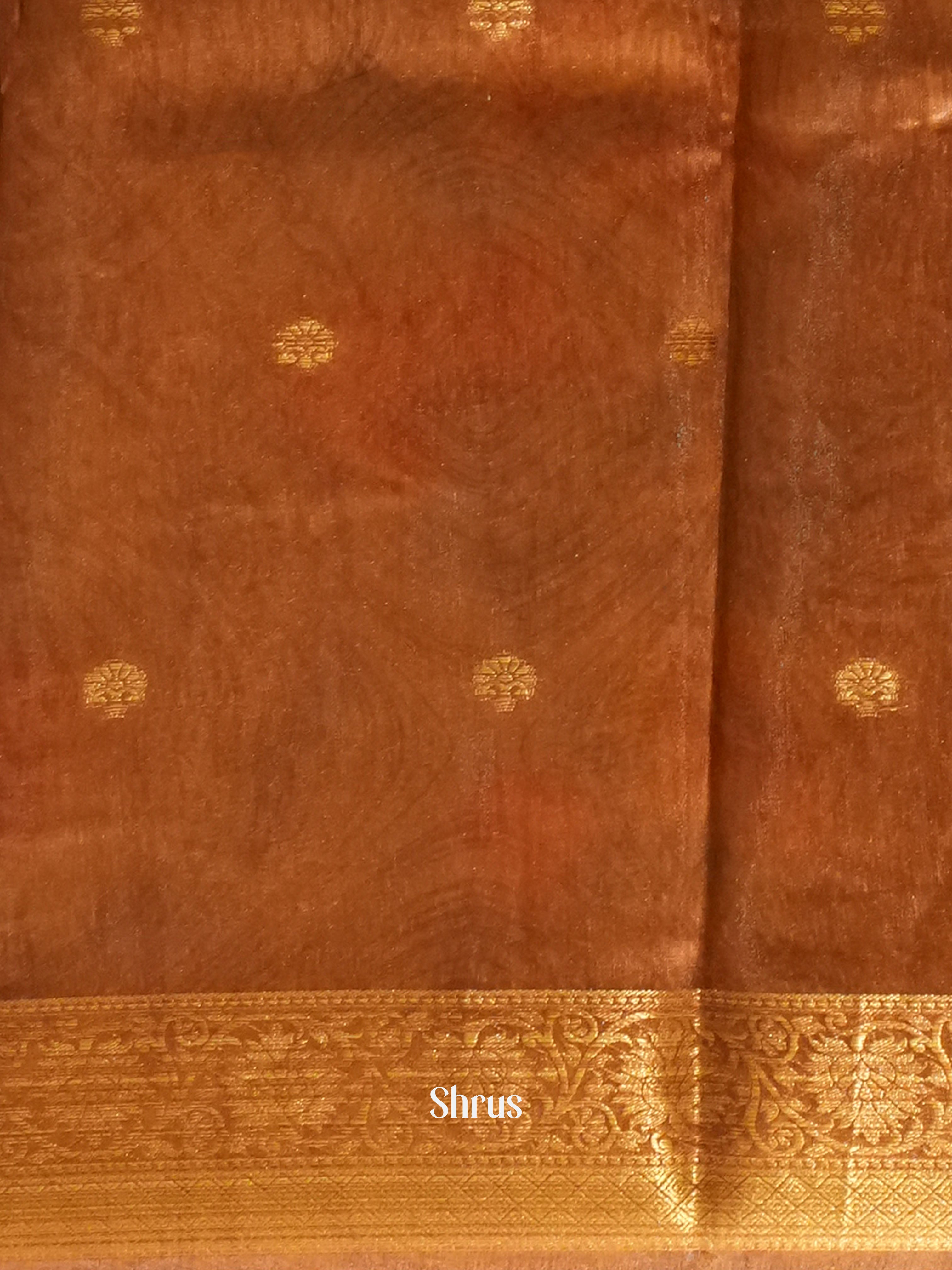 Light Brown & Brown - Semi chanderi Saree - Shop on ShrusEternity.com
