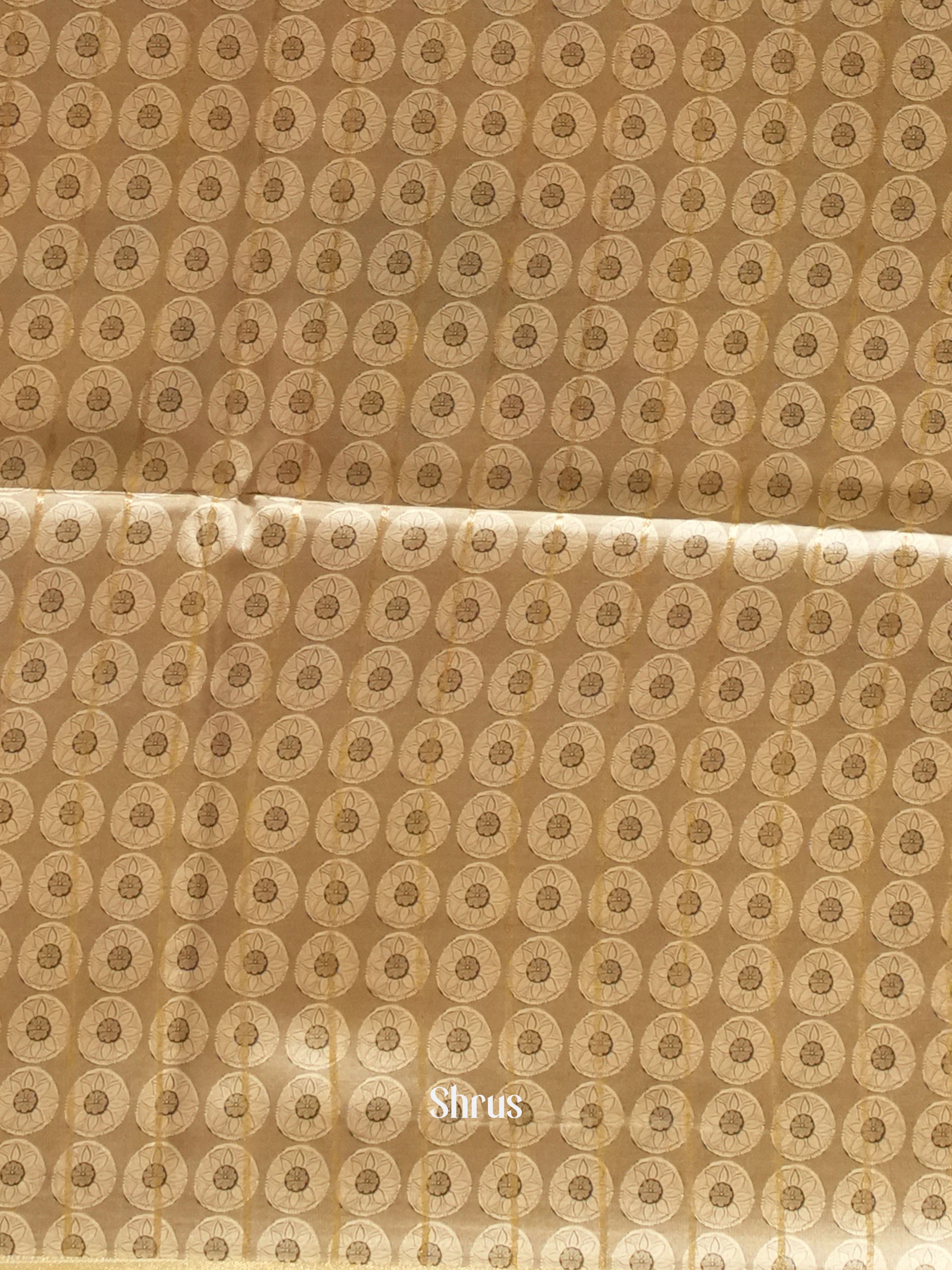 Light Brown & Grey -Semi Dupion with printed body & Contrast zari Border - Shop on ShrusEternity.com
