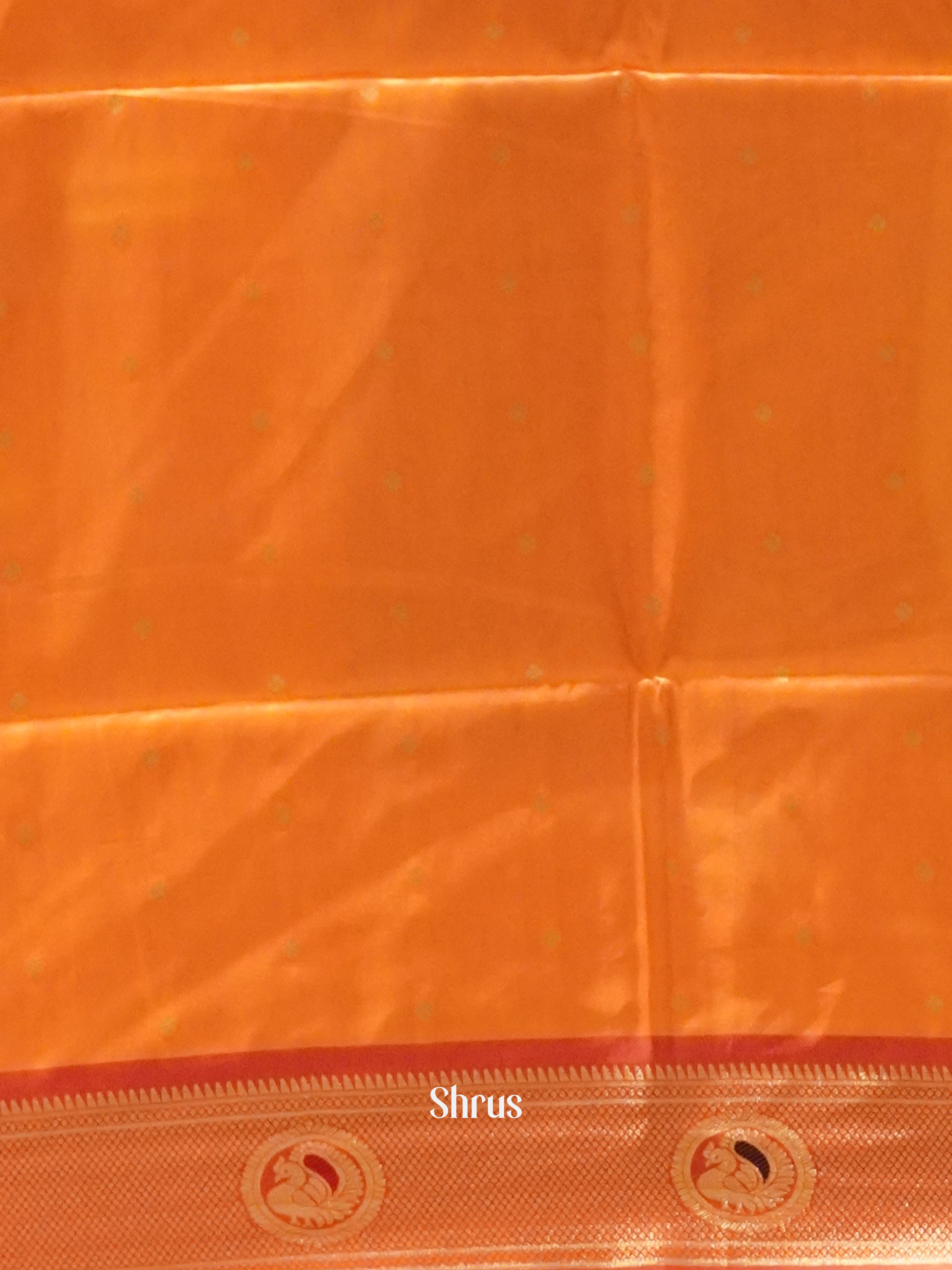 BRS07340 - semipaithani - Shop on ShrusEternity.com