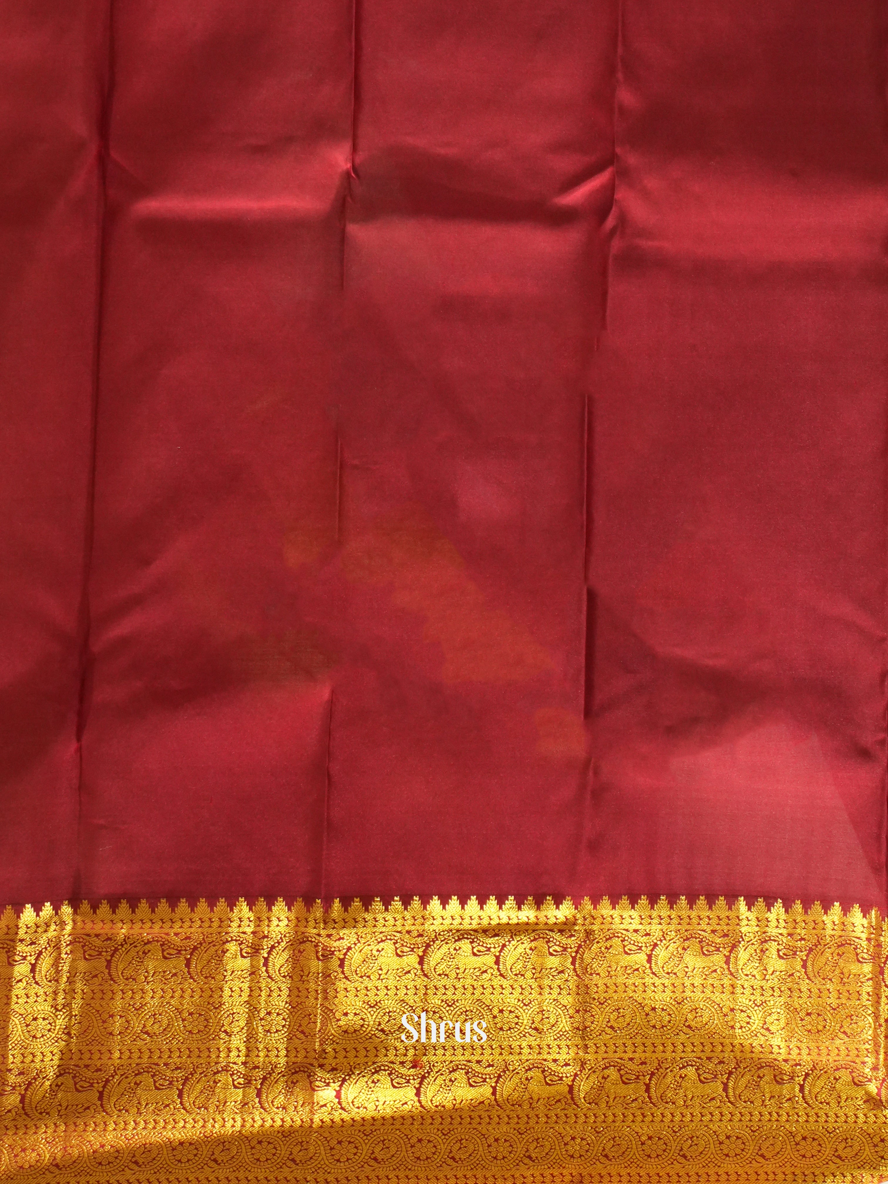 Sky Blue and Red Korvai Kanchipuram Silk saree With Zari Woven Checks and Circle Motifs-2