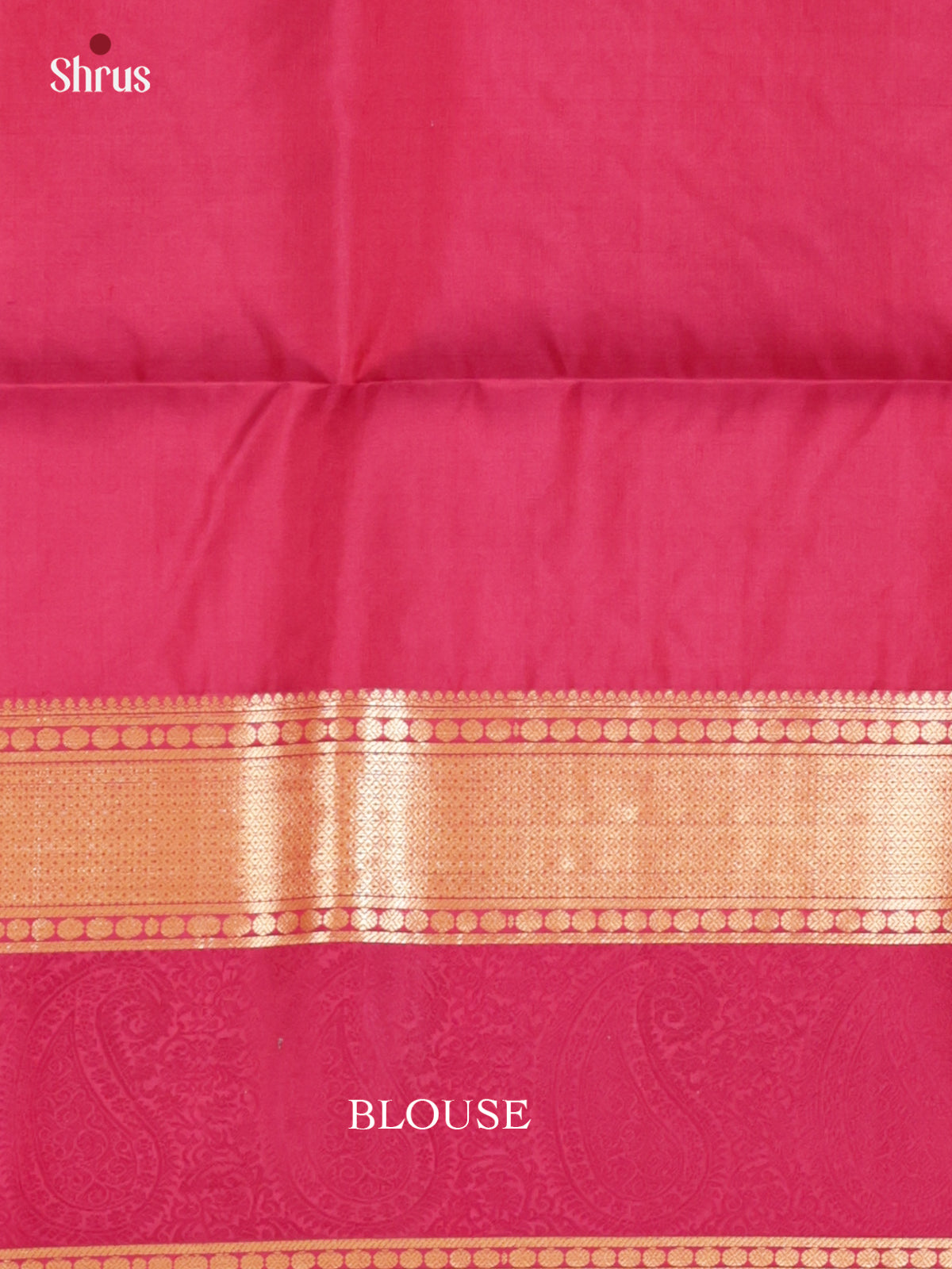 Buy Timeless Beige Pure Silk Saree With Golden Motifs & Paisley Medalions Woven Zari Border