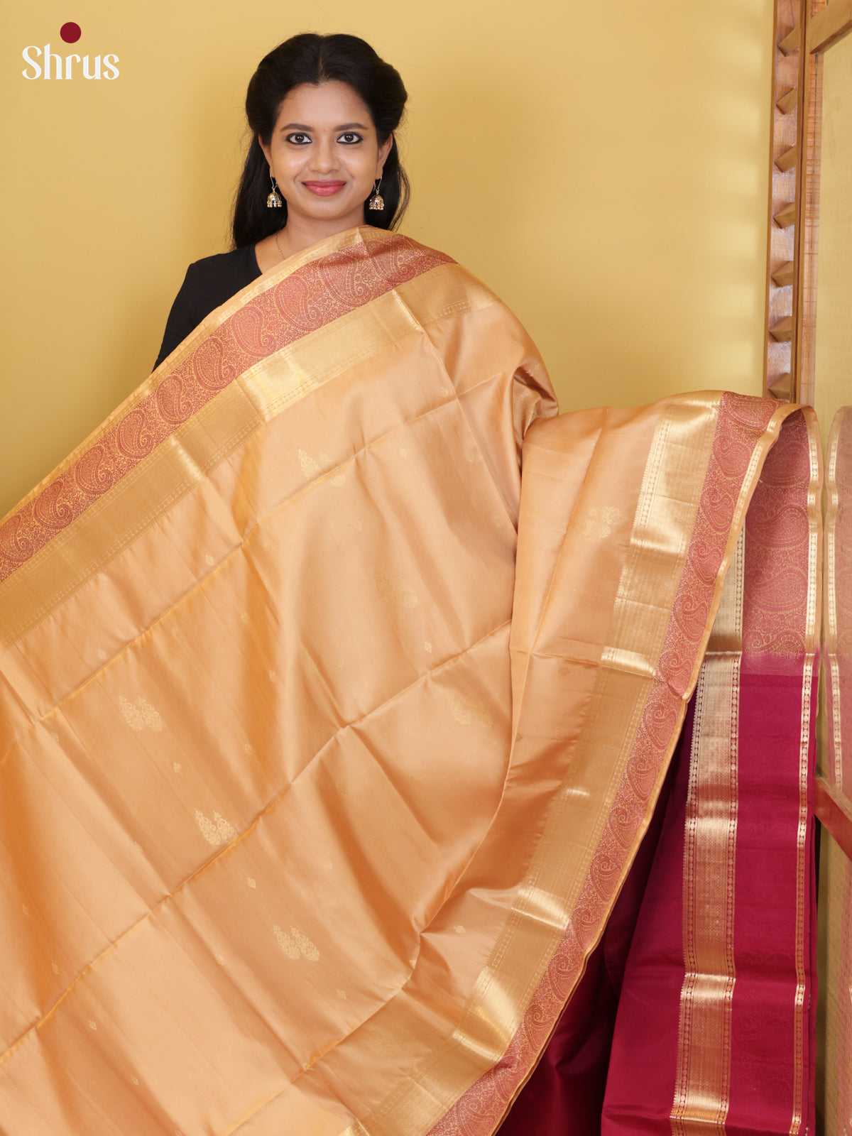 Buy Timeless Beige Pure Soft Silk Saree With Golden Motifs & Paisley Medalions Woven Zari Border