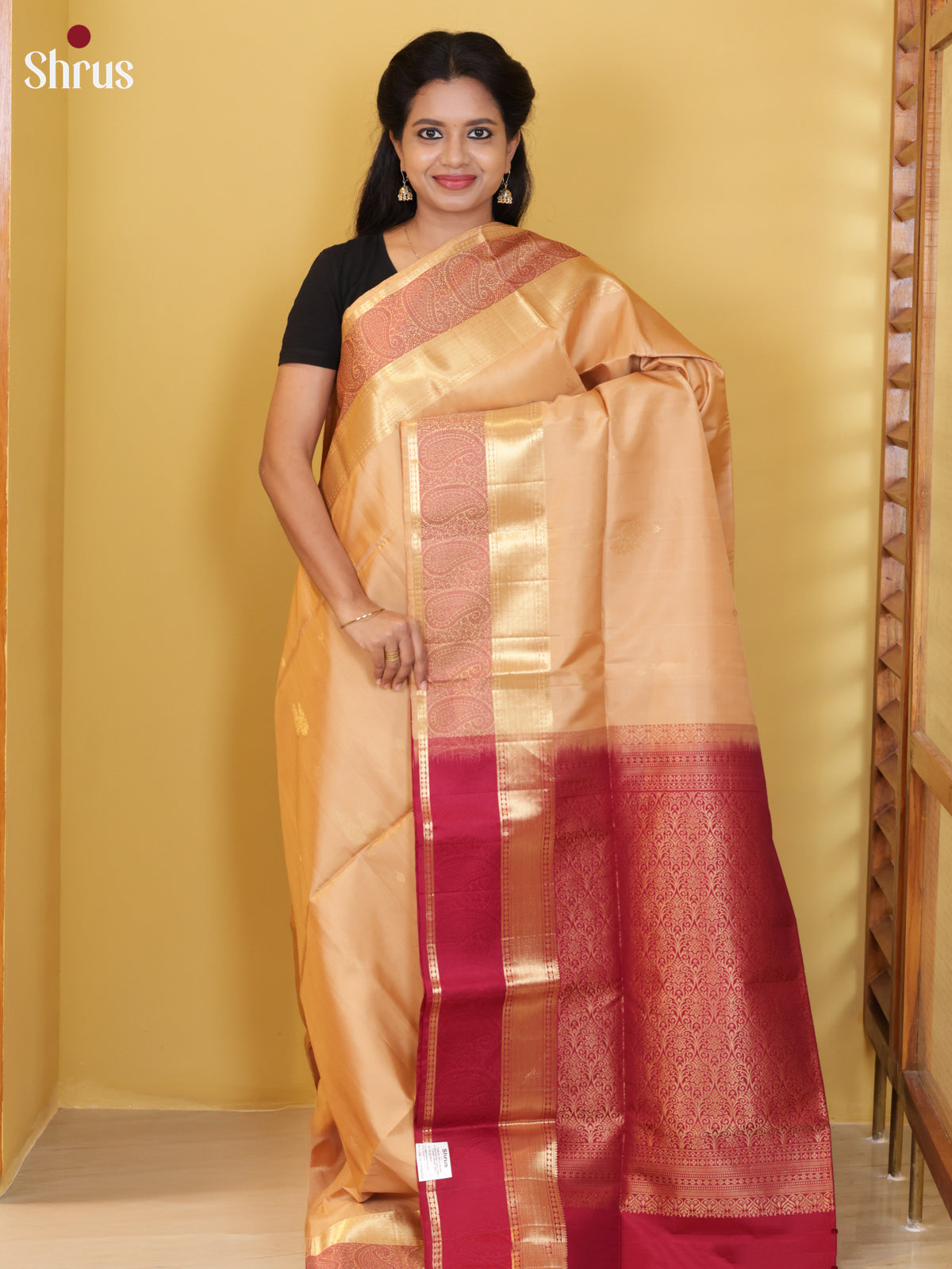 Buy Timeless Beige Soft Silk Saree With Golden Motifs & Paisley Medalions Woven Zari Border