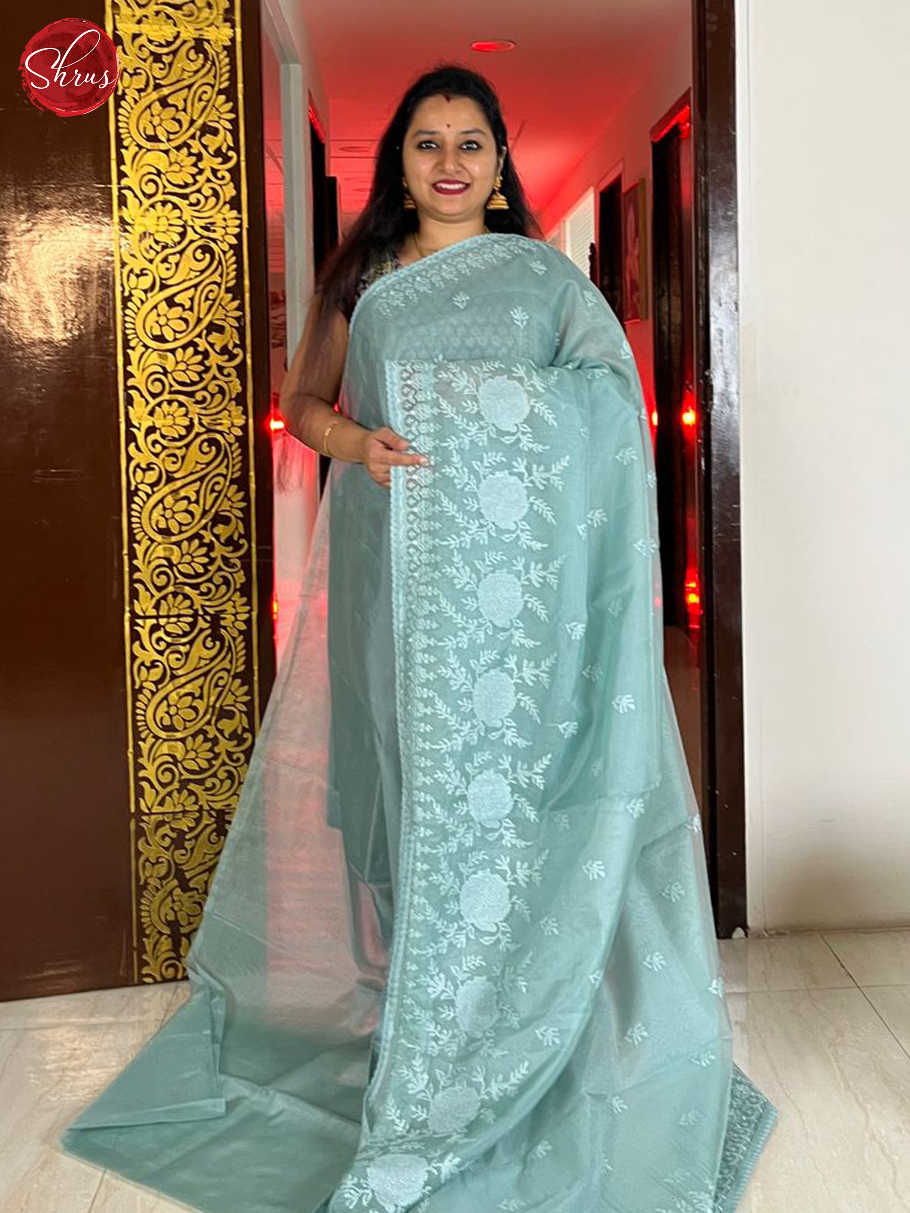 Blue(Single Tone) - Semi organza Saree - Shop on ShrusEternity.com