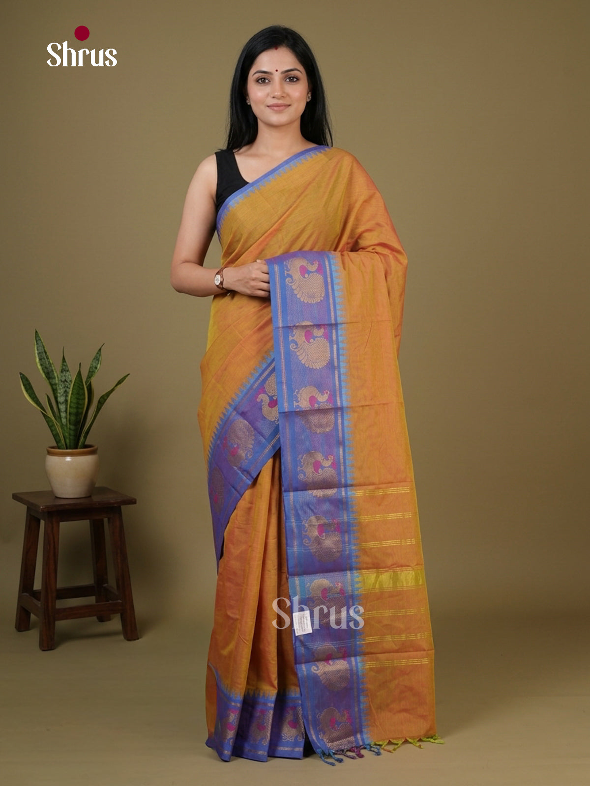 Chettinad Cotton Saree - EFS19099 - Shop on Shrus.com