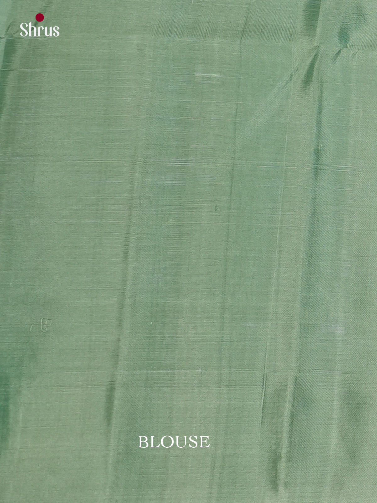 Model is wearing Seafoam Green Pure Silk Saree with Silver Buttas & Bird Motifs Woven Pallu