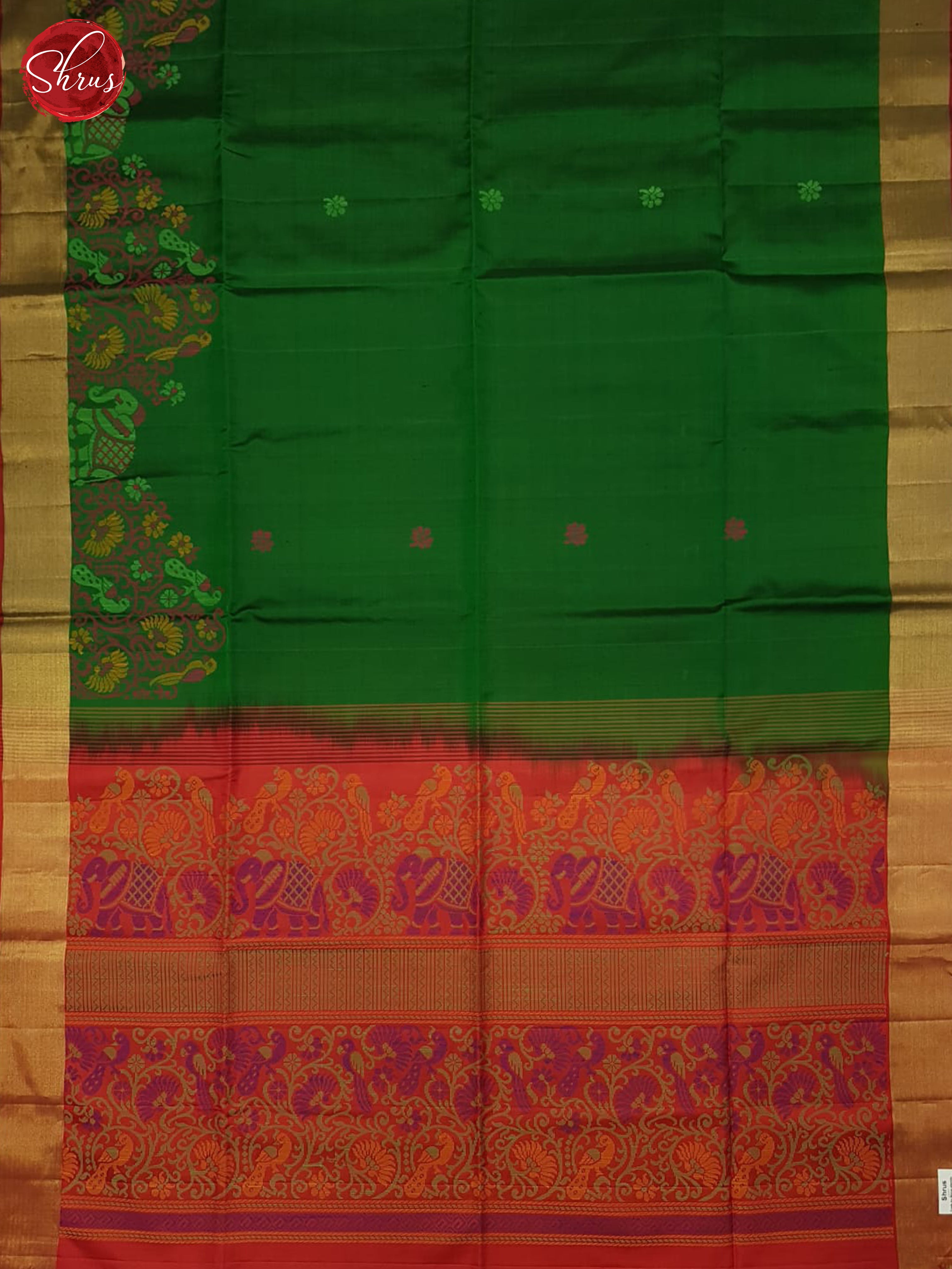 Green And Orange - Shop on ShrusEternity.com