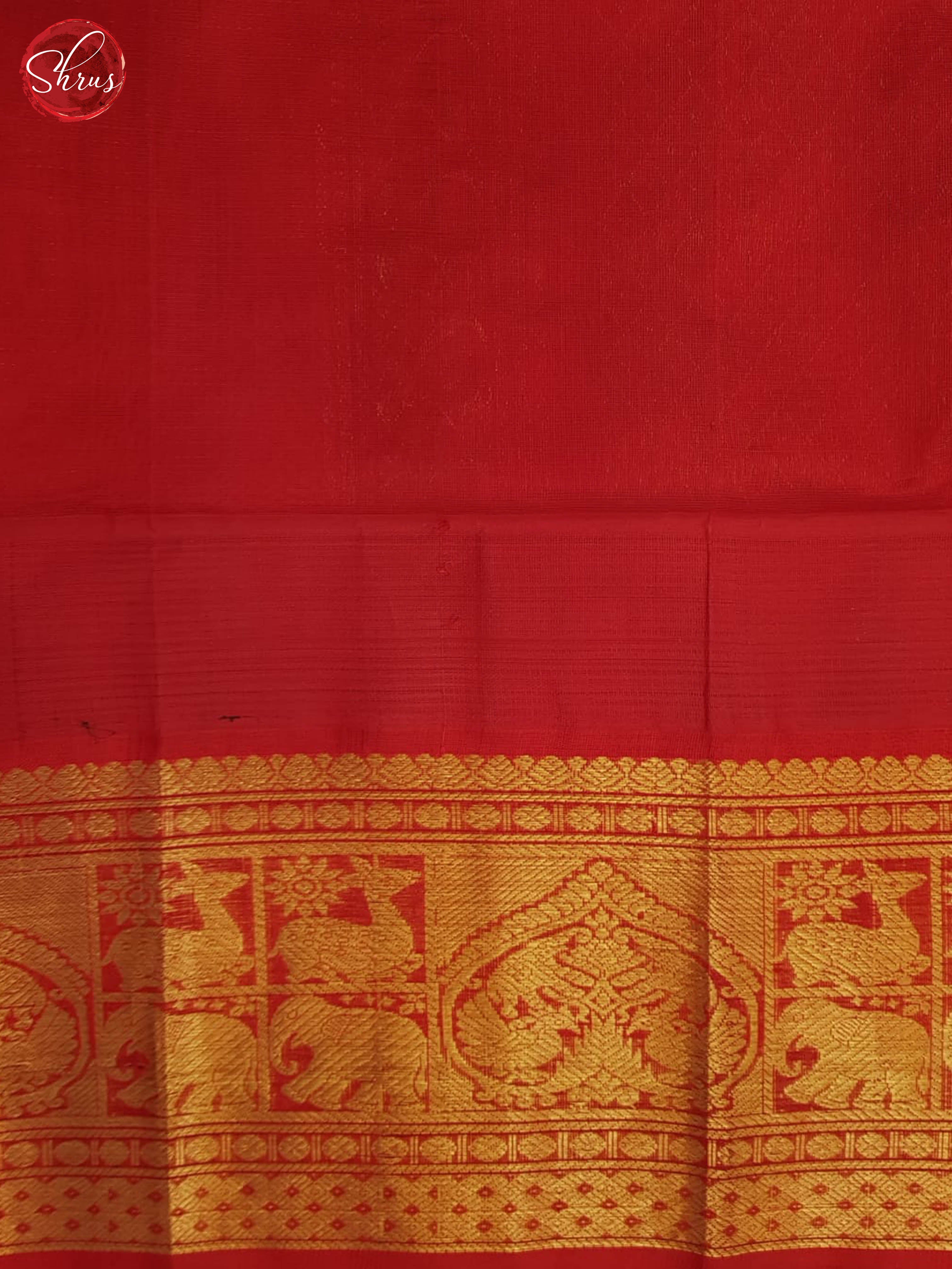 Blue And Red- Silk Cotton Saree - Shop on ShrusEternity.com
